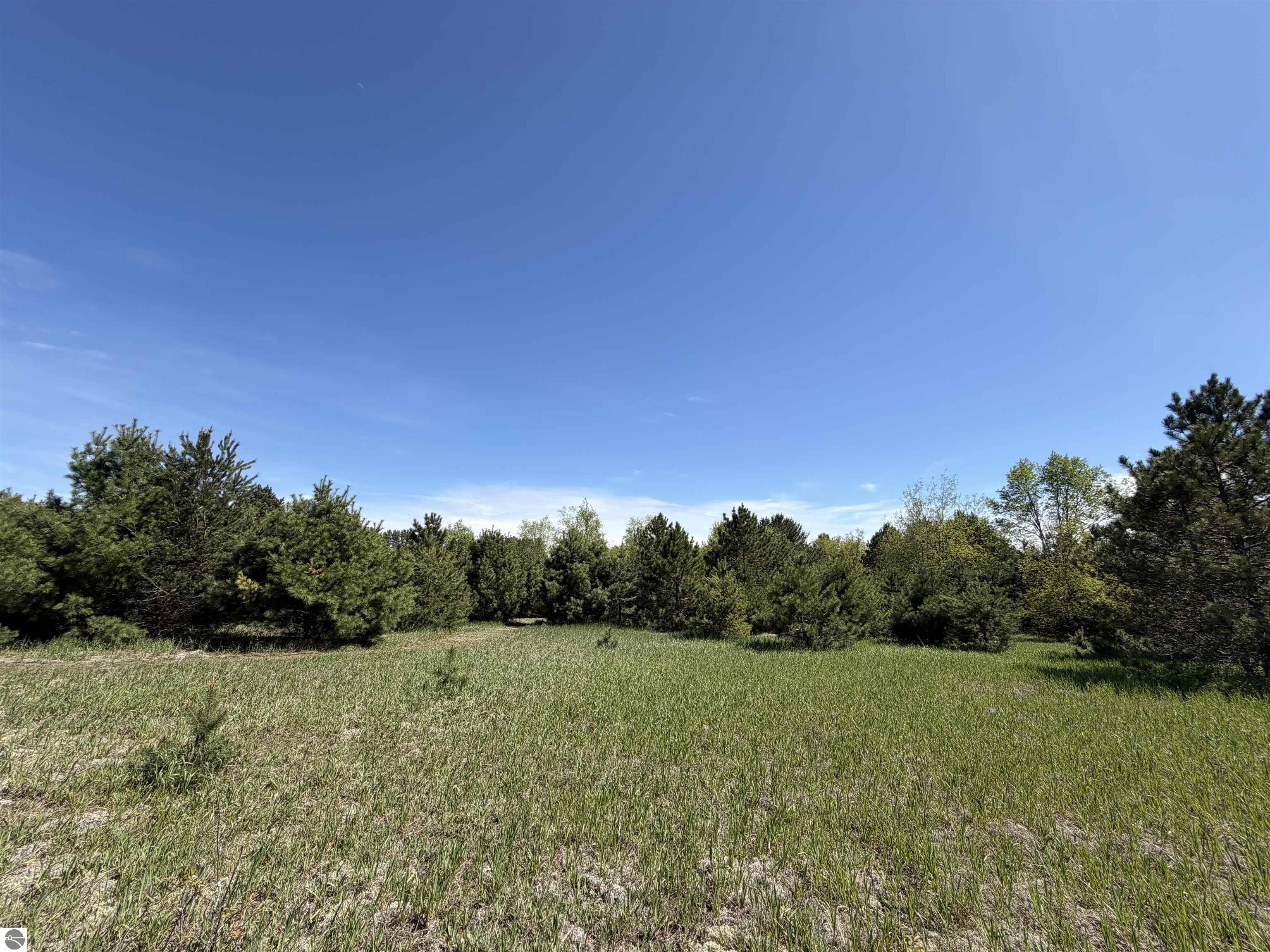 13158 Cinder Road, Beulah, MI 49617 — Photo 16