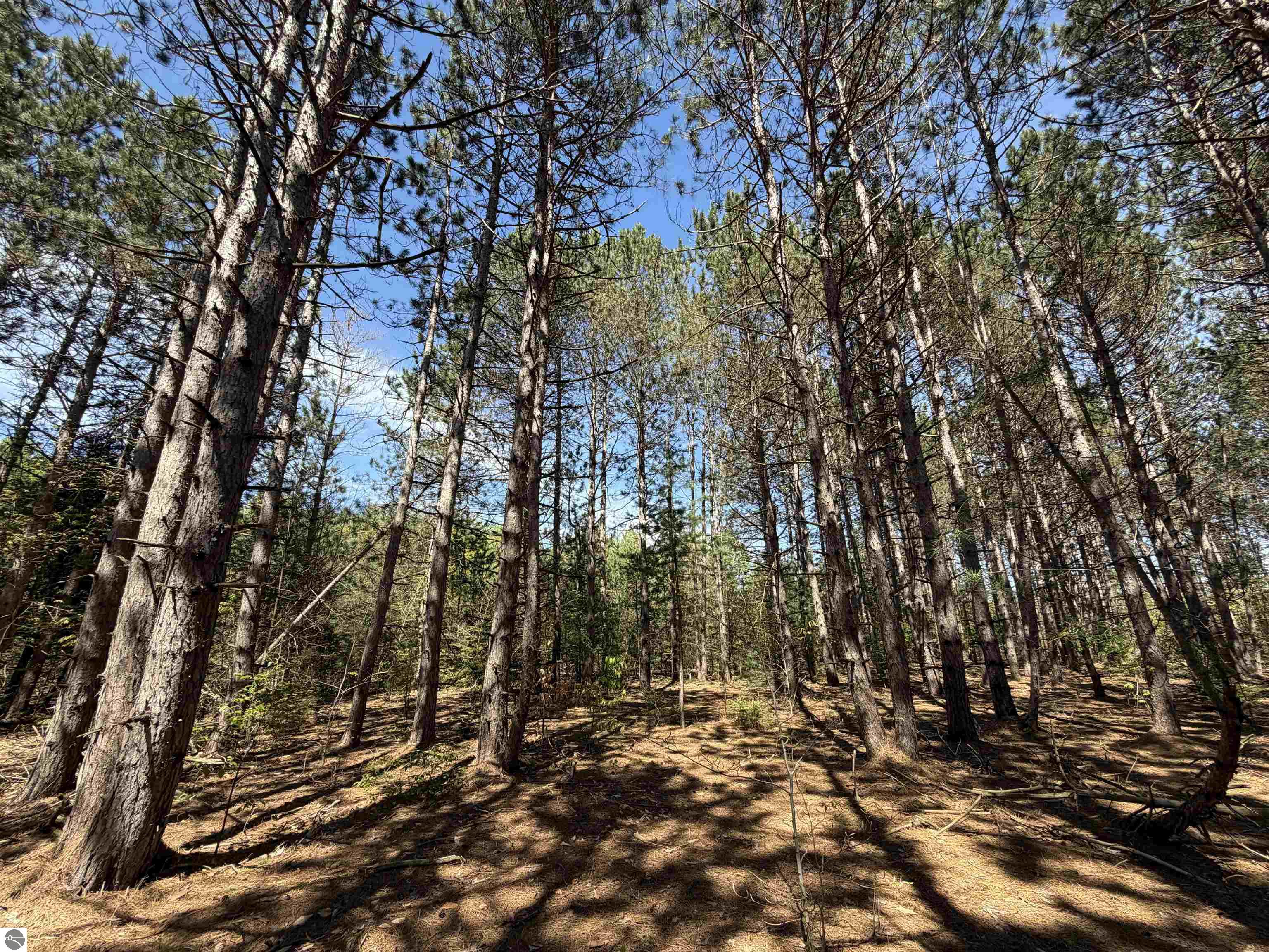 13158 Cinder Road, Beulah, MI 49617 — Photo 17