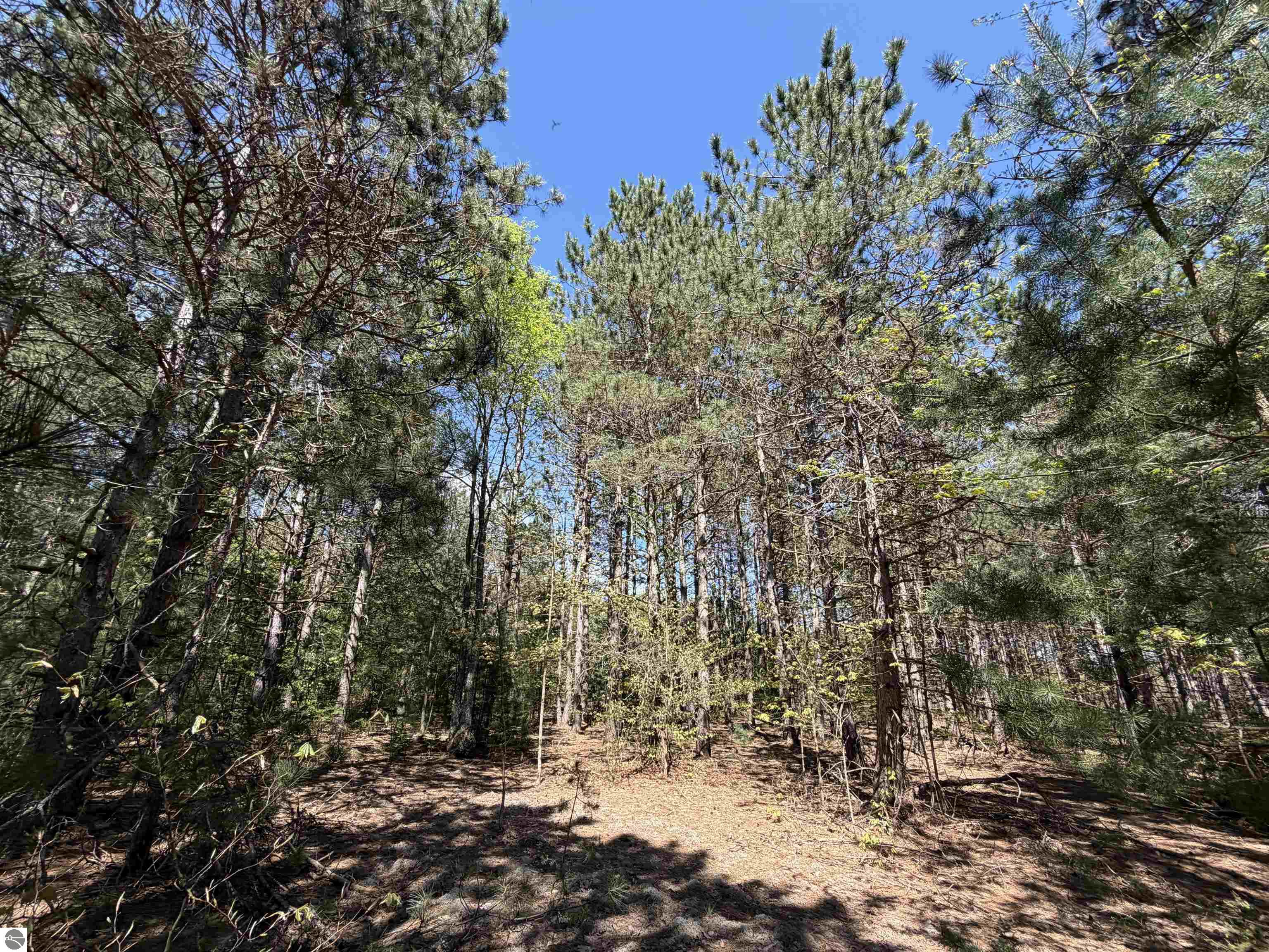 13158 Cinder Road, Beulah, MI 49617 — Photo 3