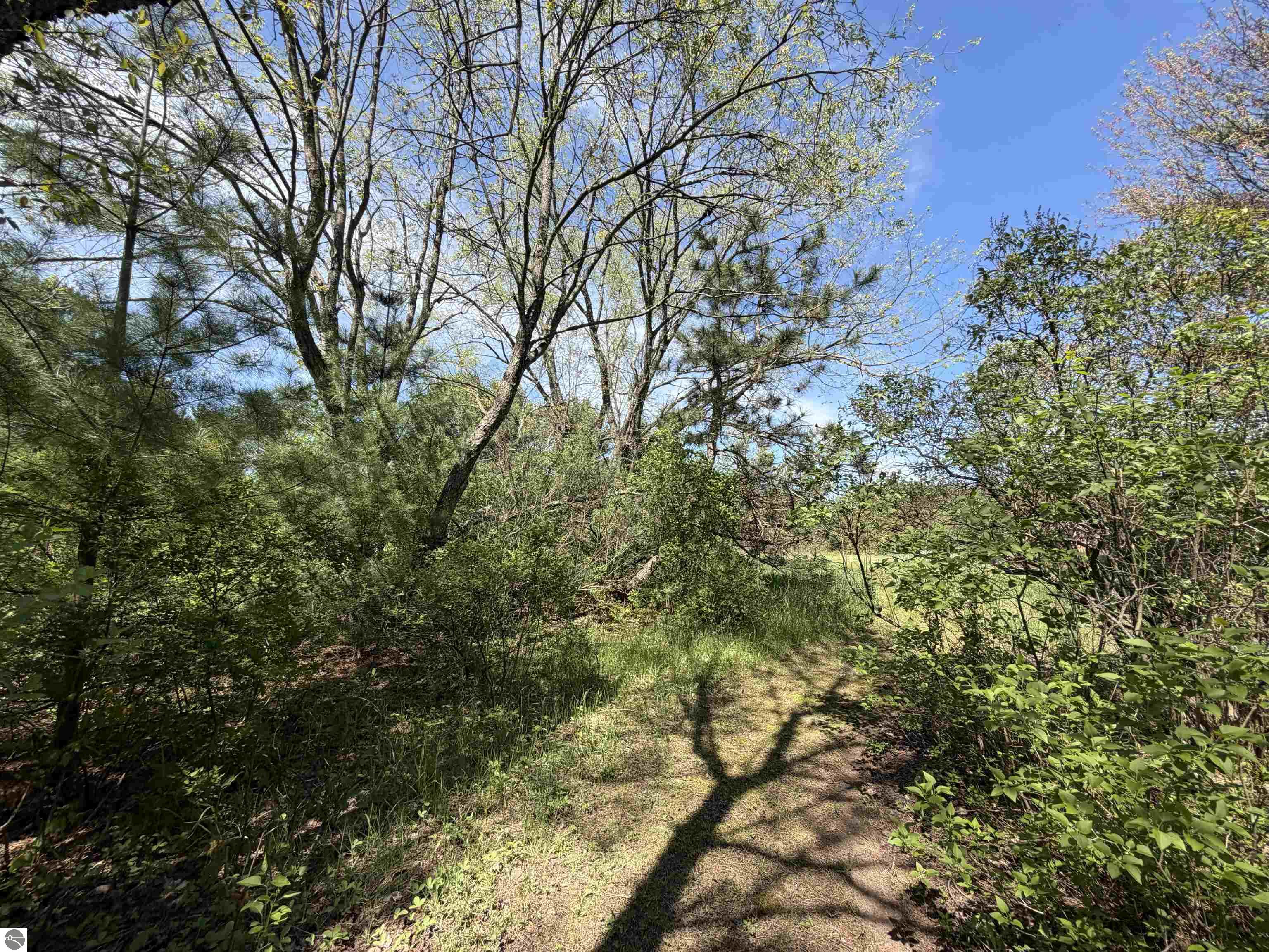 13158 Cinder Road, Beulah, MI 49617 — Photo 5