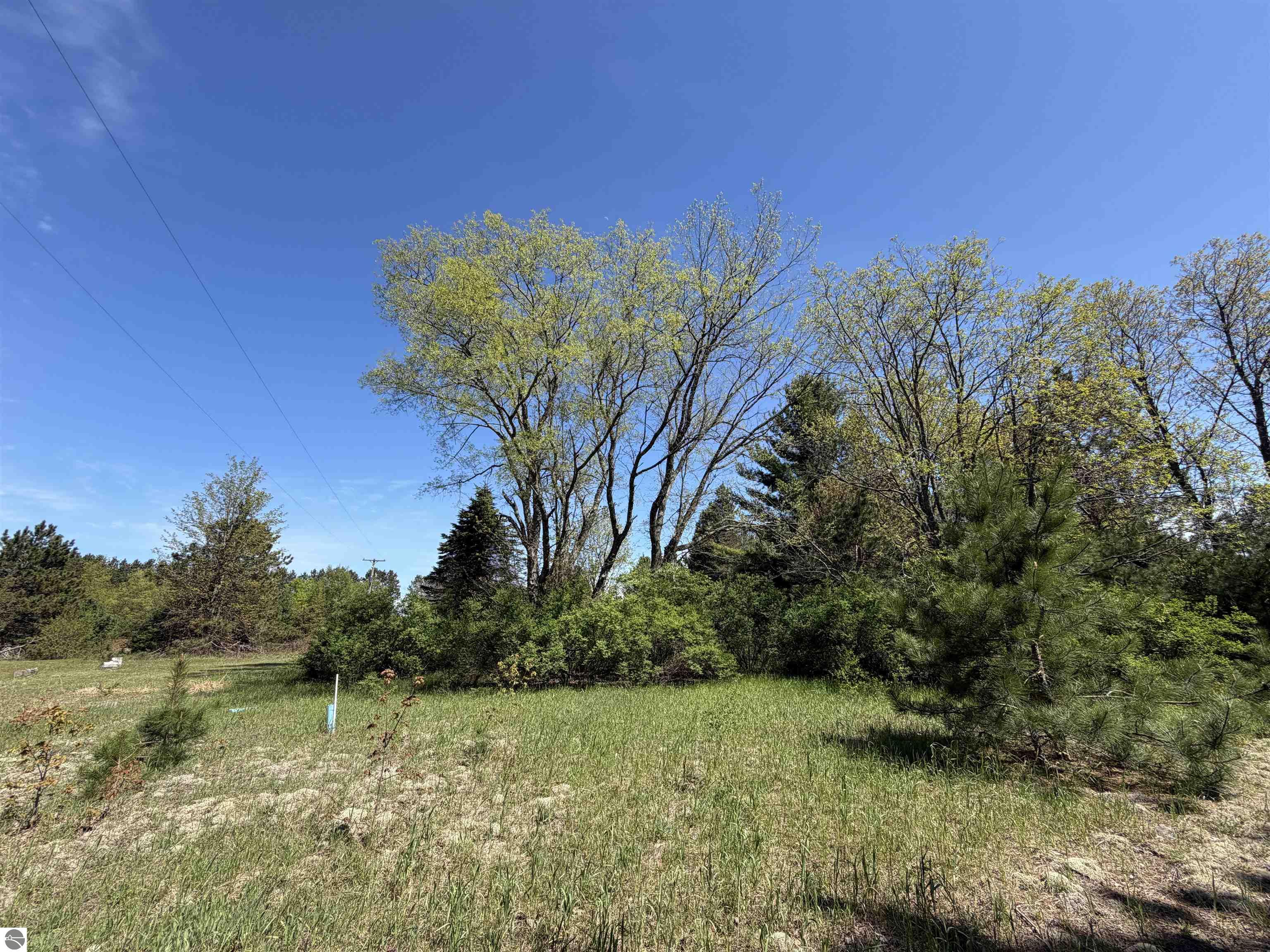 13158 Cinder Road, Beulah, MI 49617 — Photo 8