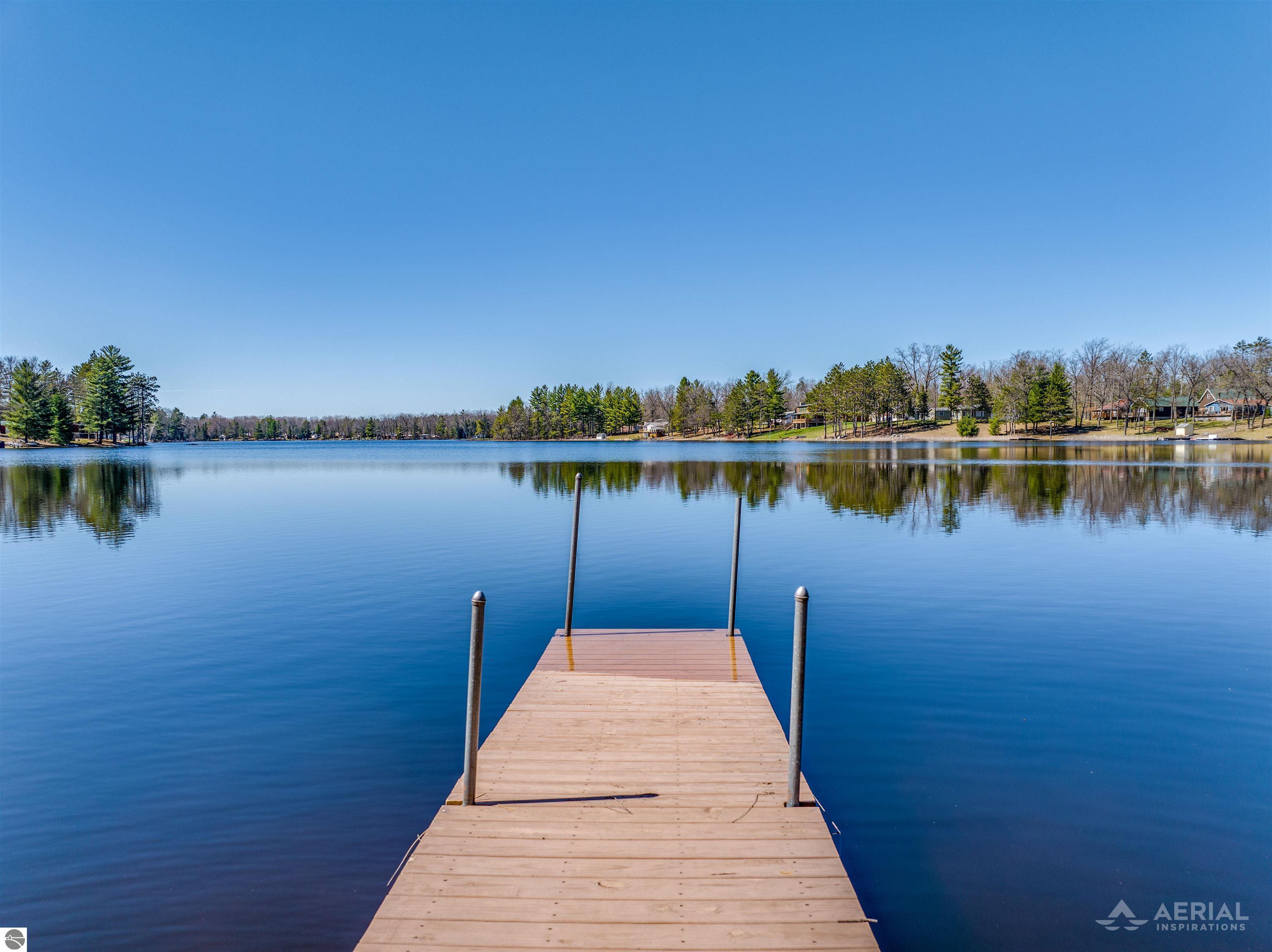 7139 Chain Lake Drive, South Branch, MI 48761 — Photo 4
