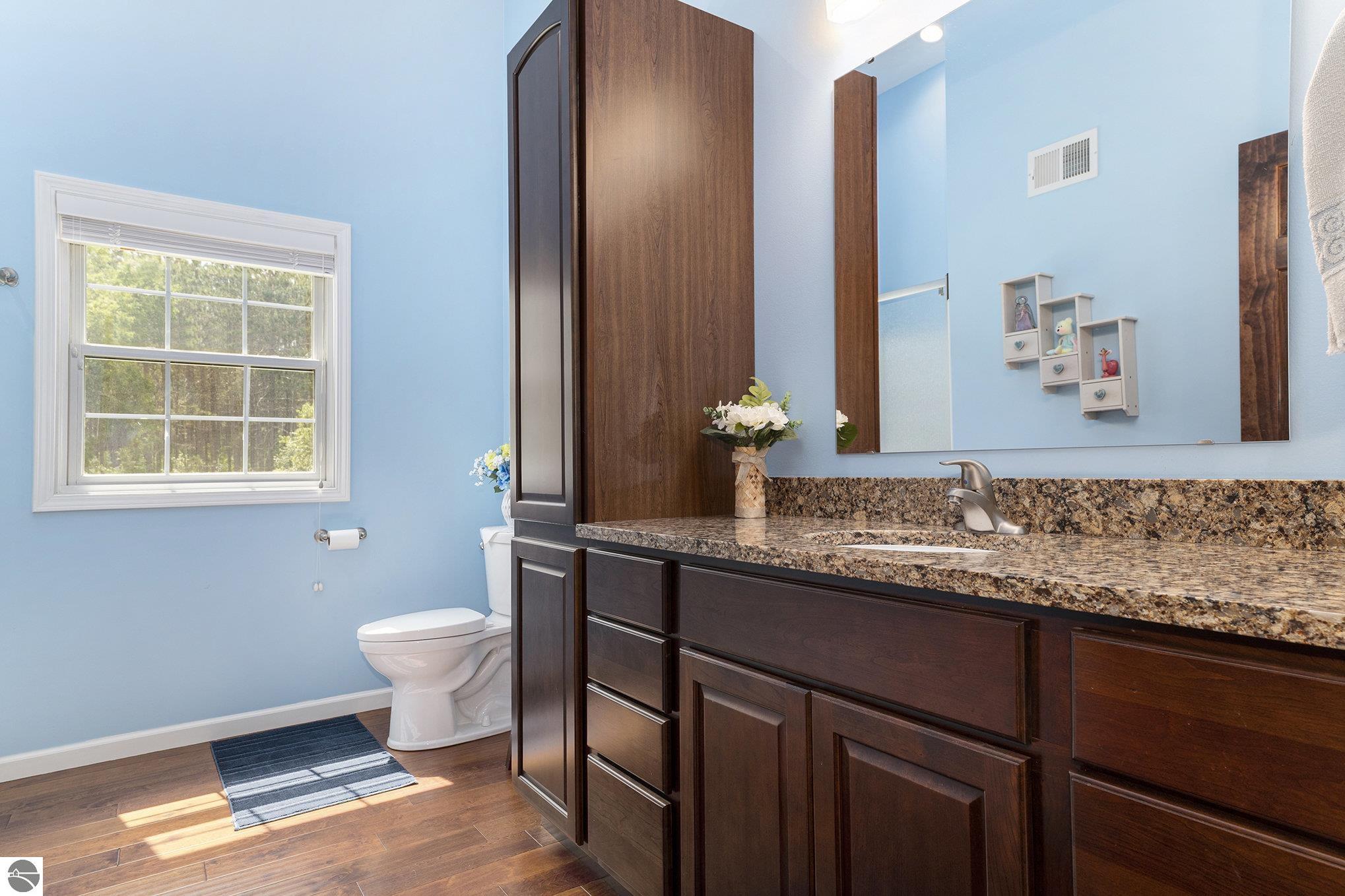 6836 Wrenwood Drive, Elmira, MI 49730 — Photo 18