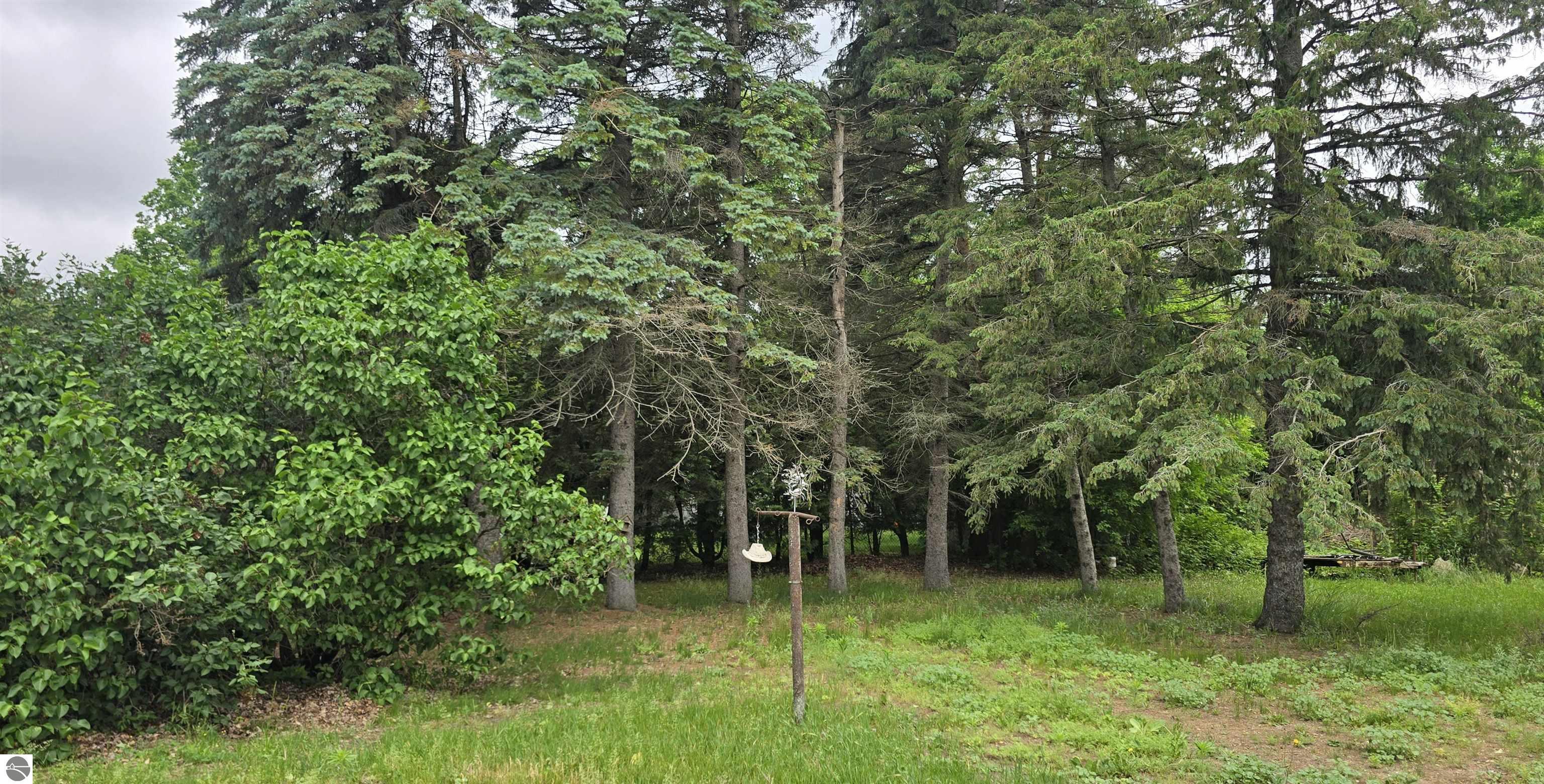 303 Jefferson Street, Mancelona, MI 49659 — Photo 16