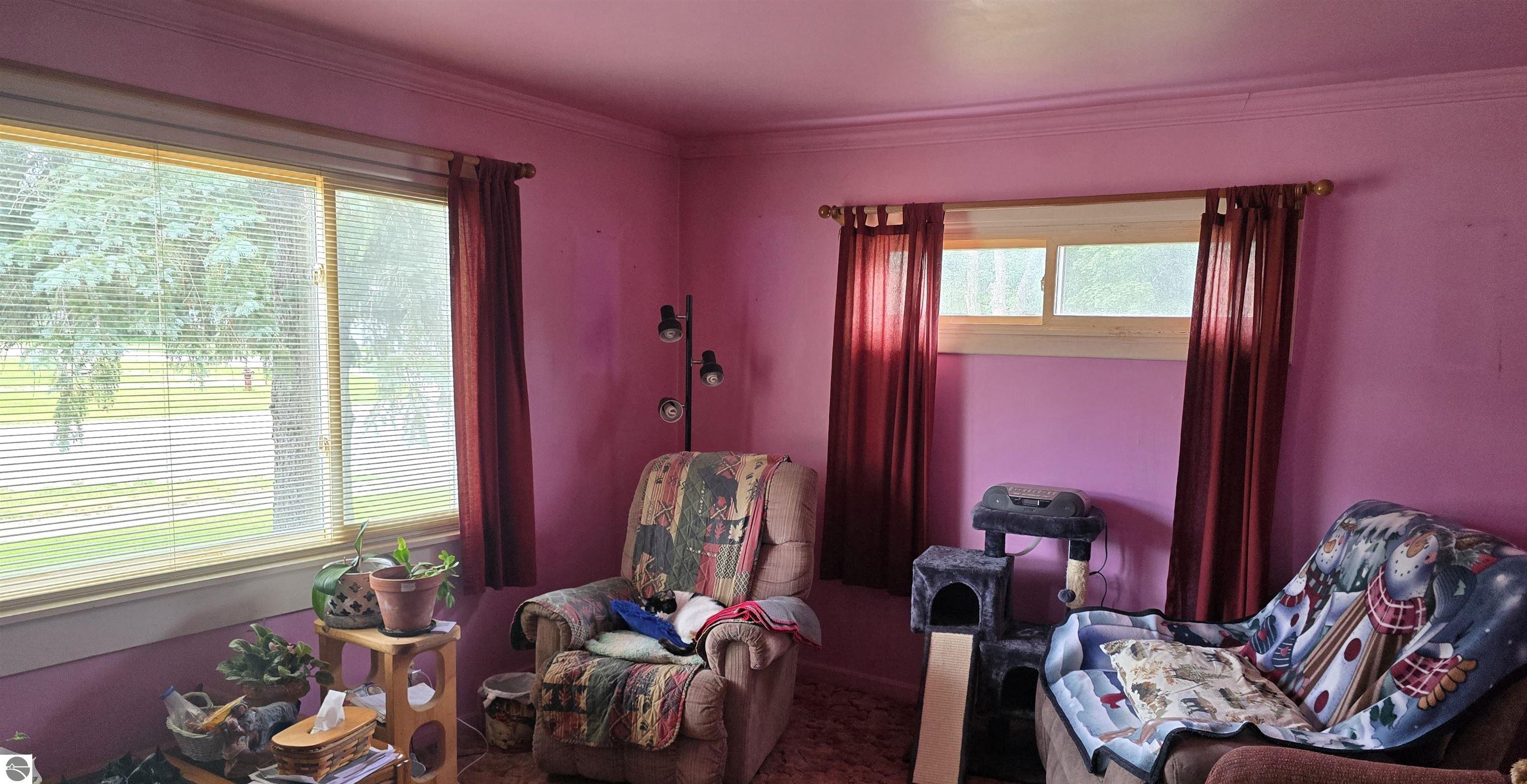 303 Jefferson Street, Mancelona, MI 49659 — Photo 3