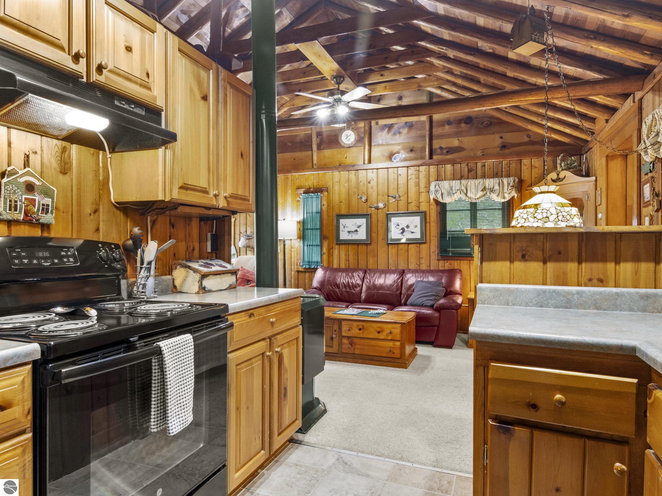 8646 Deadstream Road, Honor, MI 49640 — Photo 12