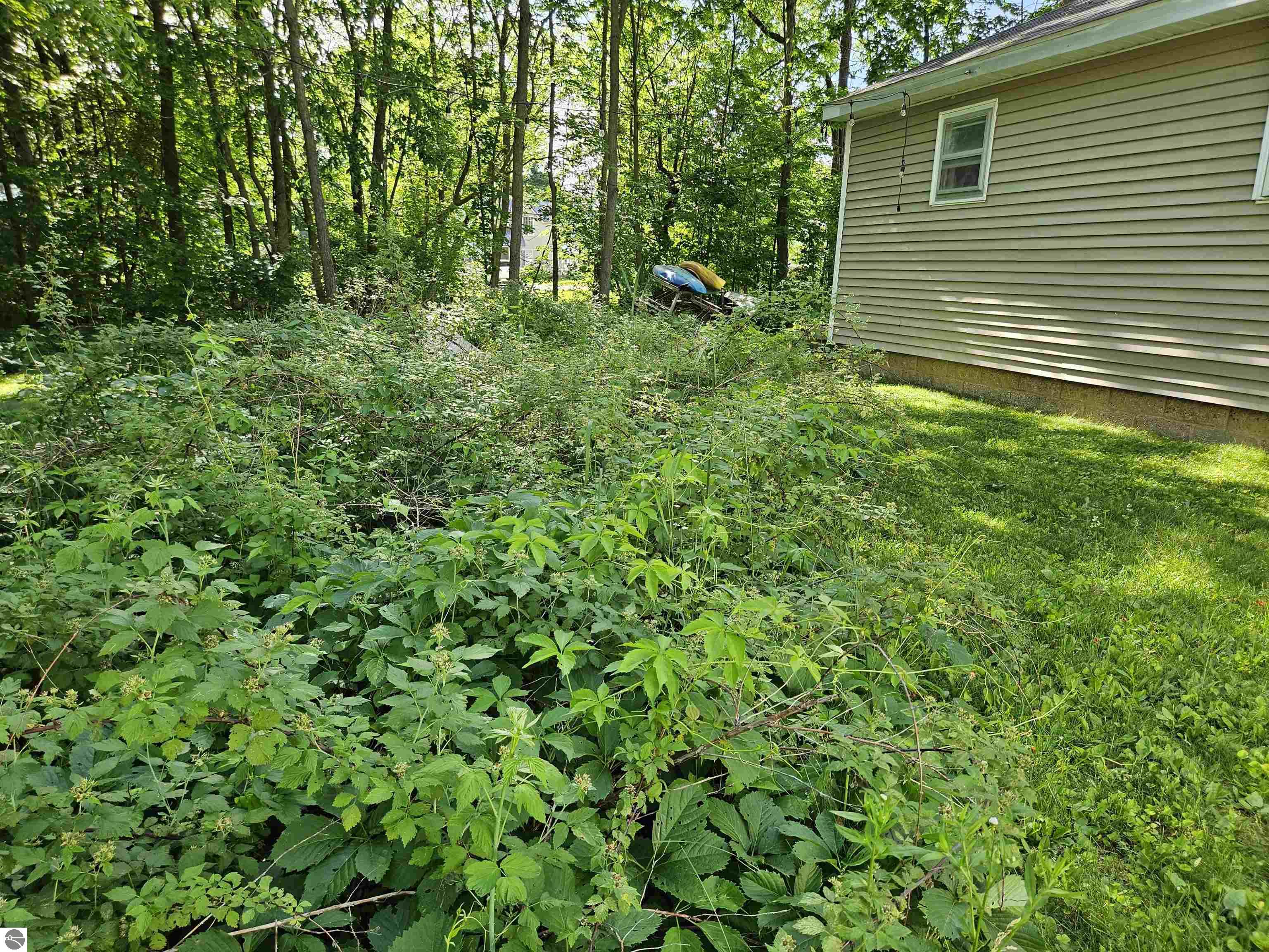 108 S Huron, Lake City, MI 49651 — Photo 5