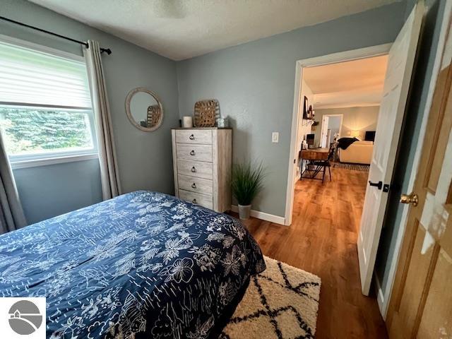 4907 Murray Lane, East Jordan, MI 49727 — Photo 17