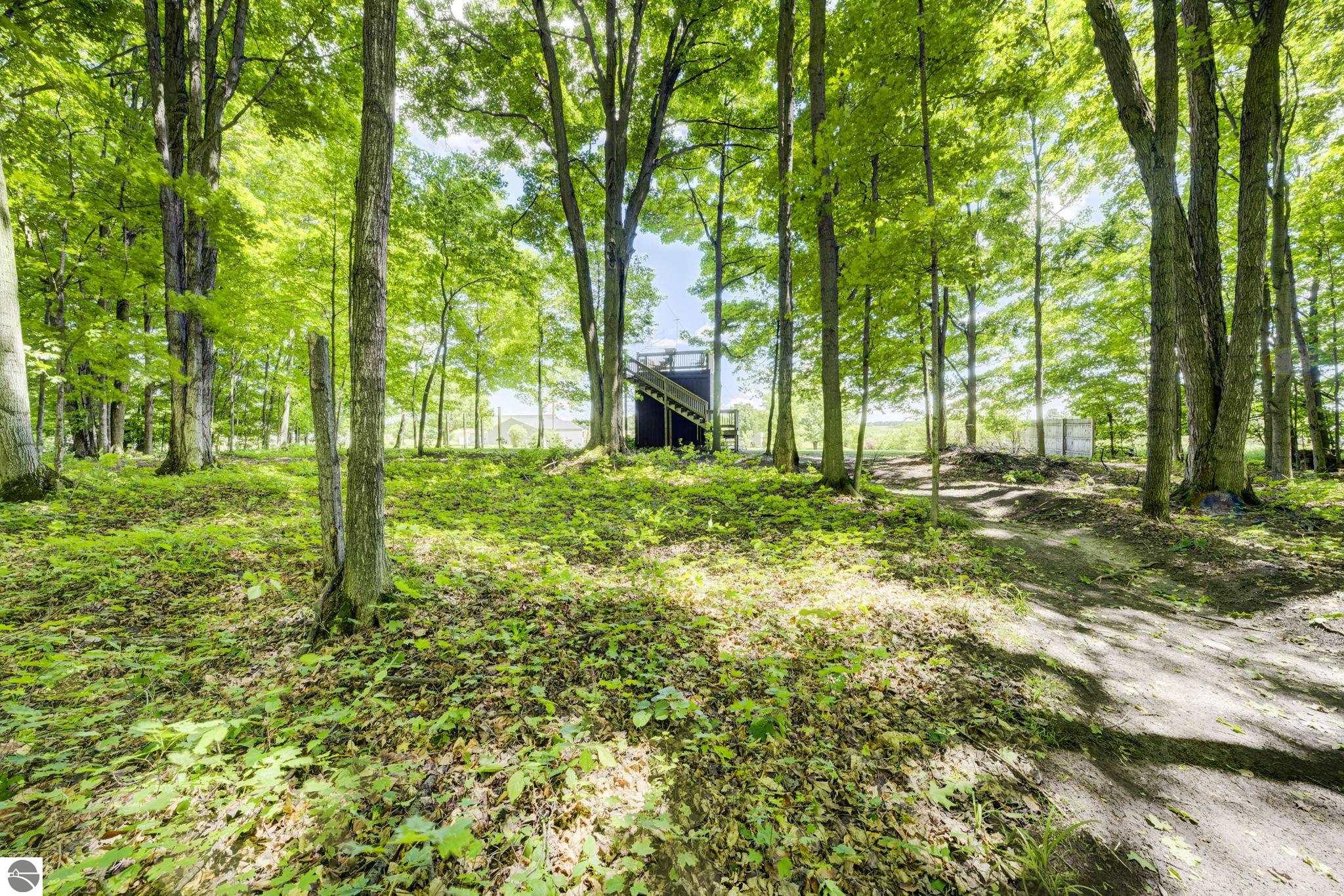 9318 Schichtel Road, Kingsley, MI 49649 — Photo 43