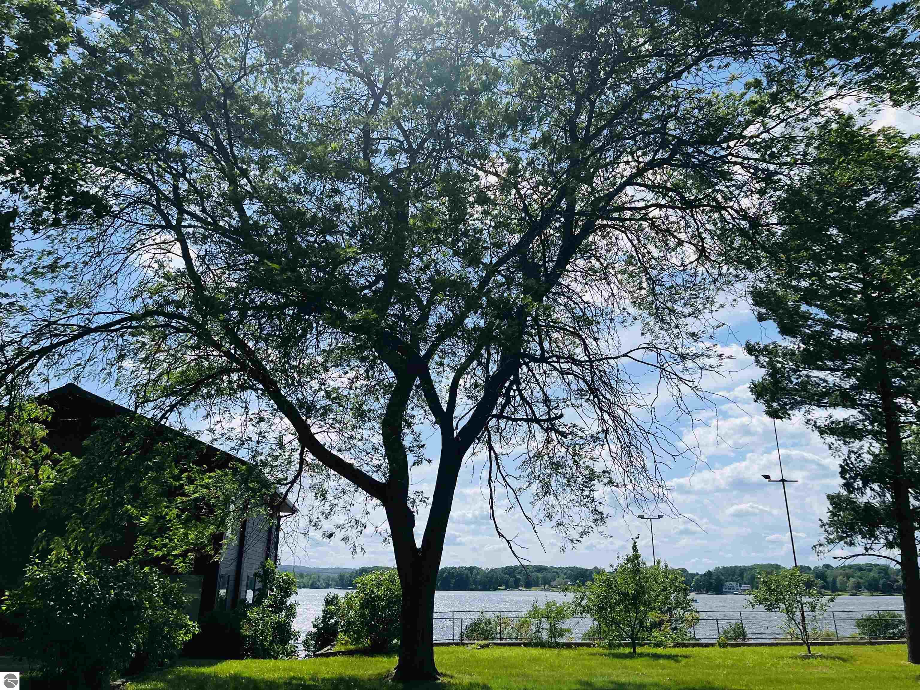 1084 Clubhouse Drive, Lake Isabella, MI 48893 — Photo 9