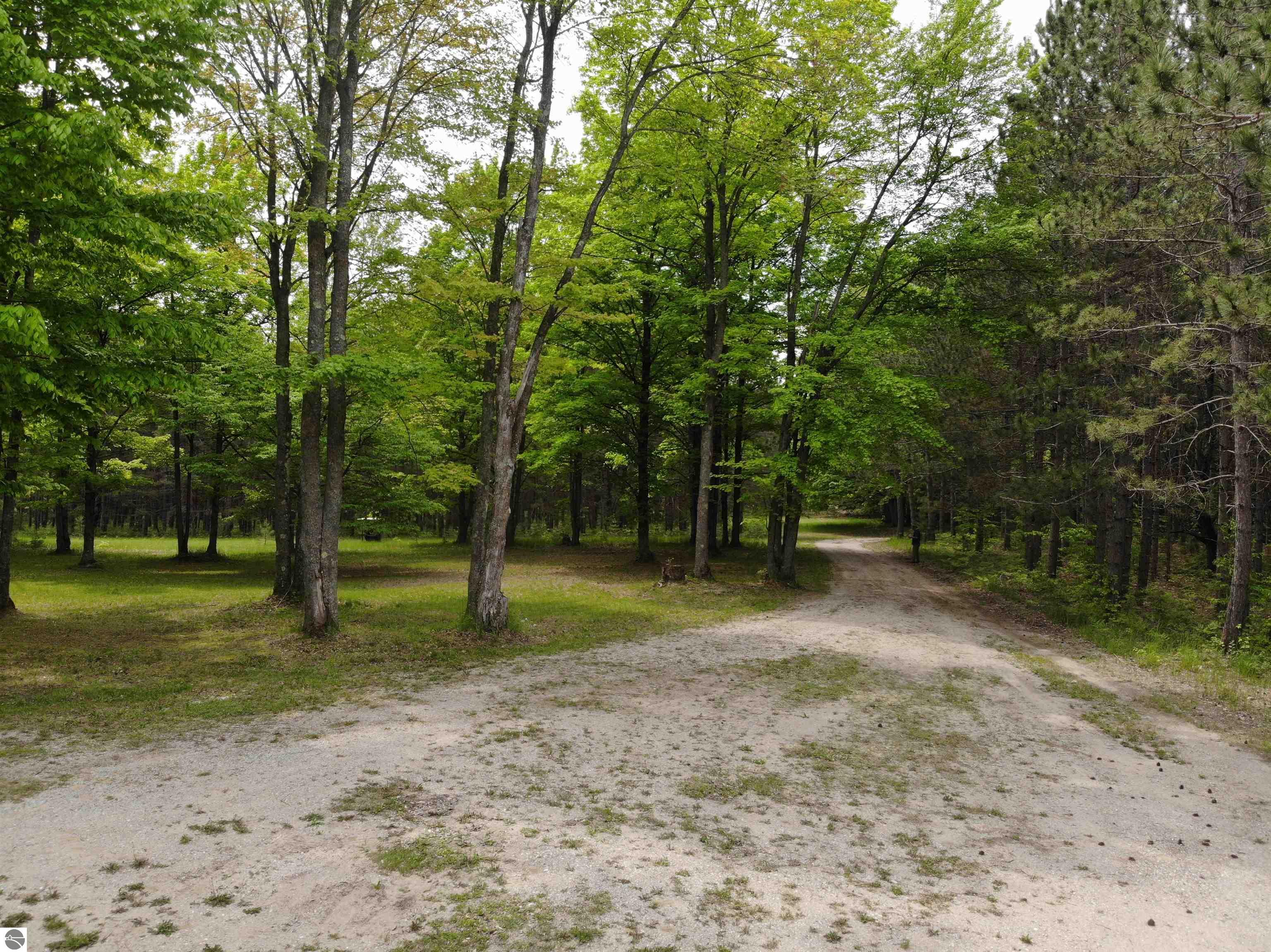 135 Montgomery Road, South Boardman, MI 49680 — Photo 39