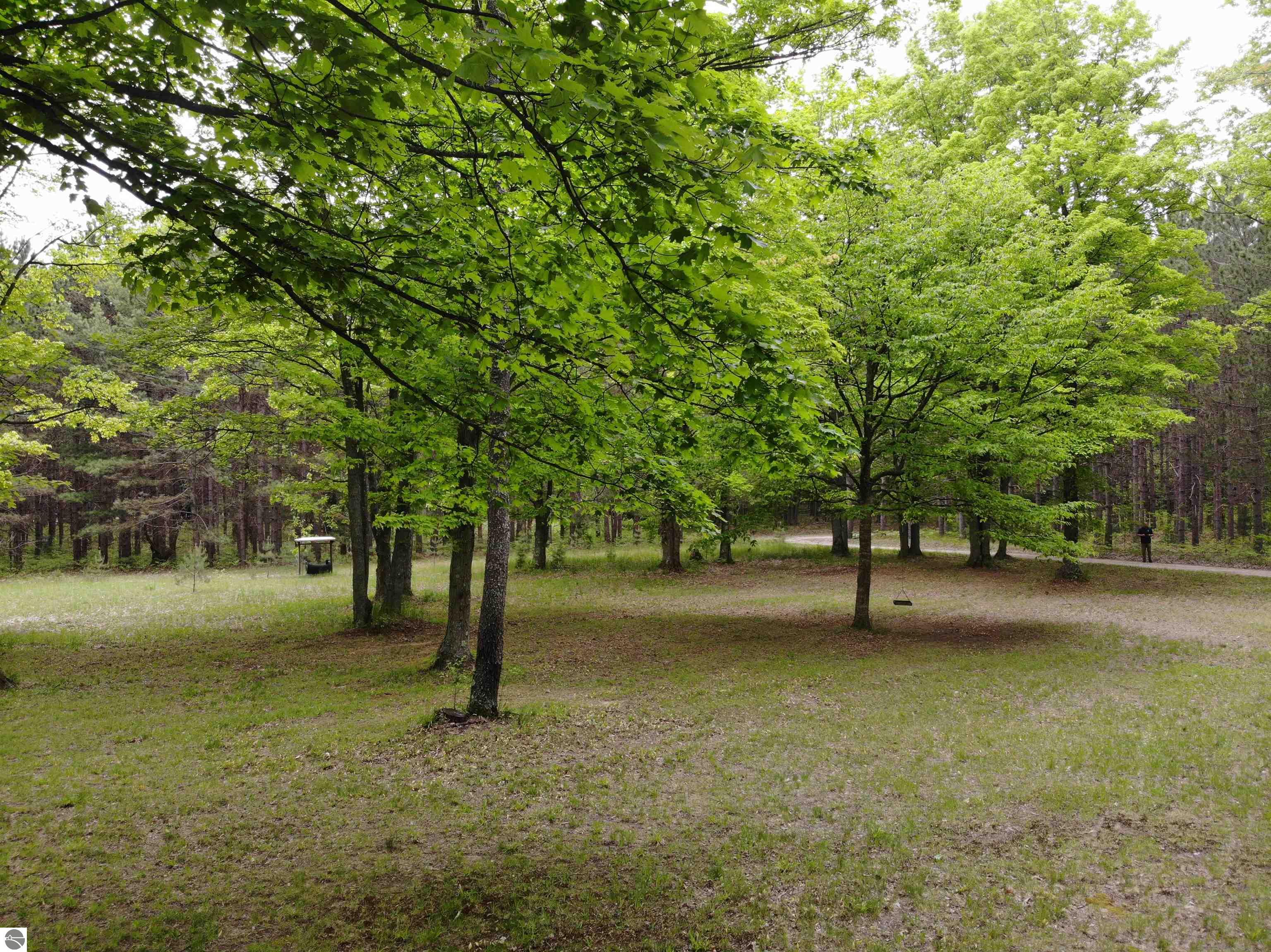 135 Montgomery Road, South Boardman, MI 49680 — Photo 40