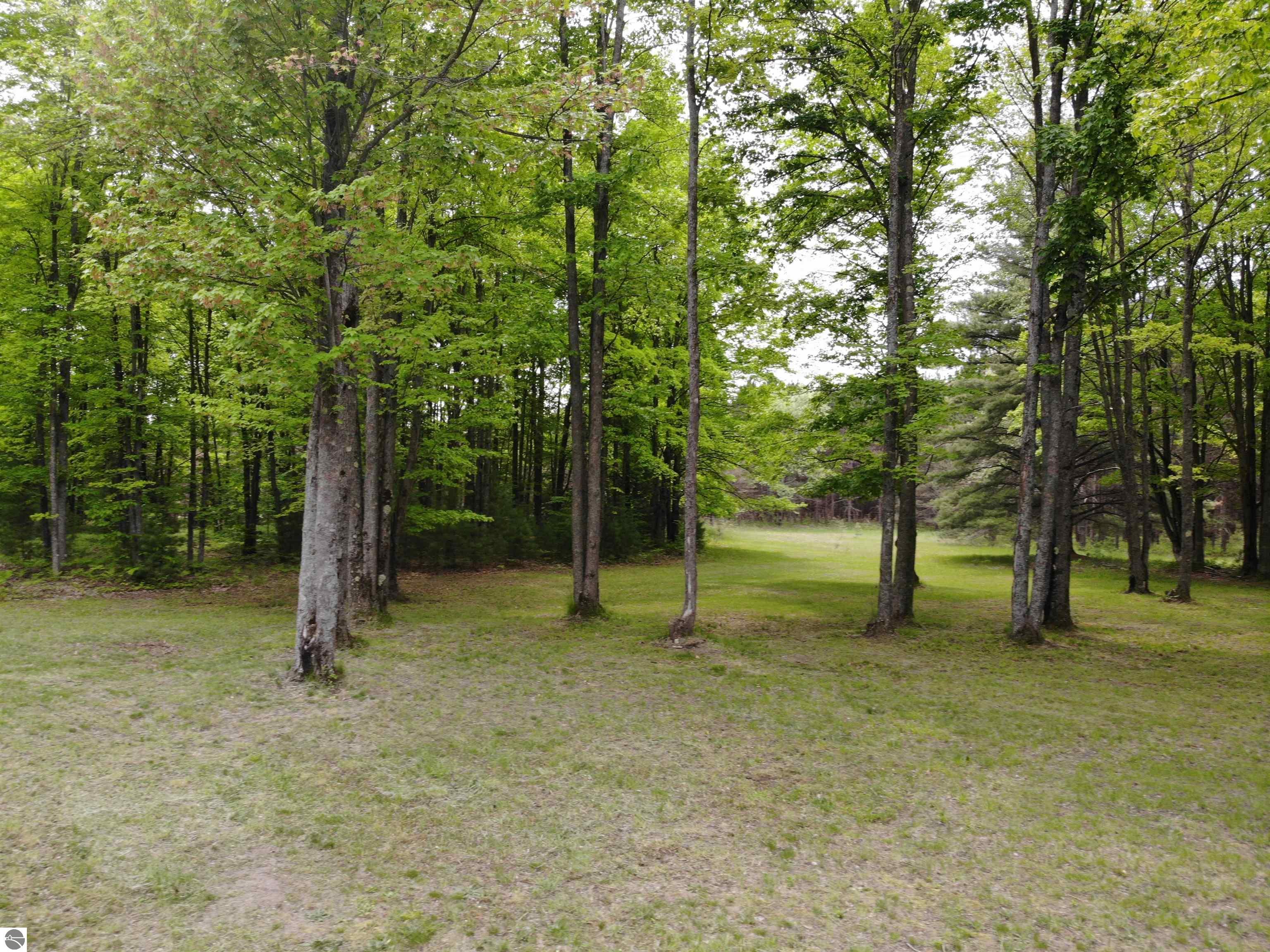 135 Montgomery Road, South Boardman, MI 49680 — Photo 41