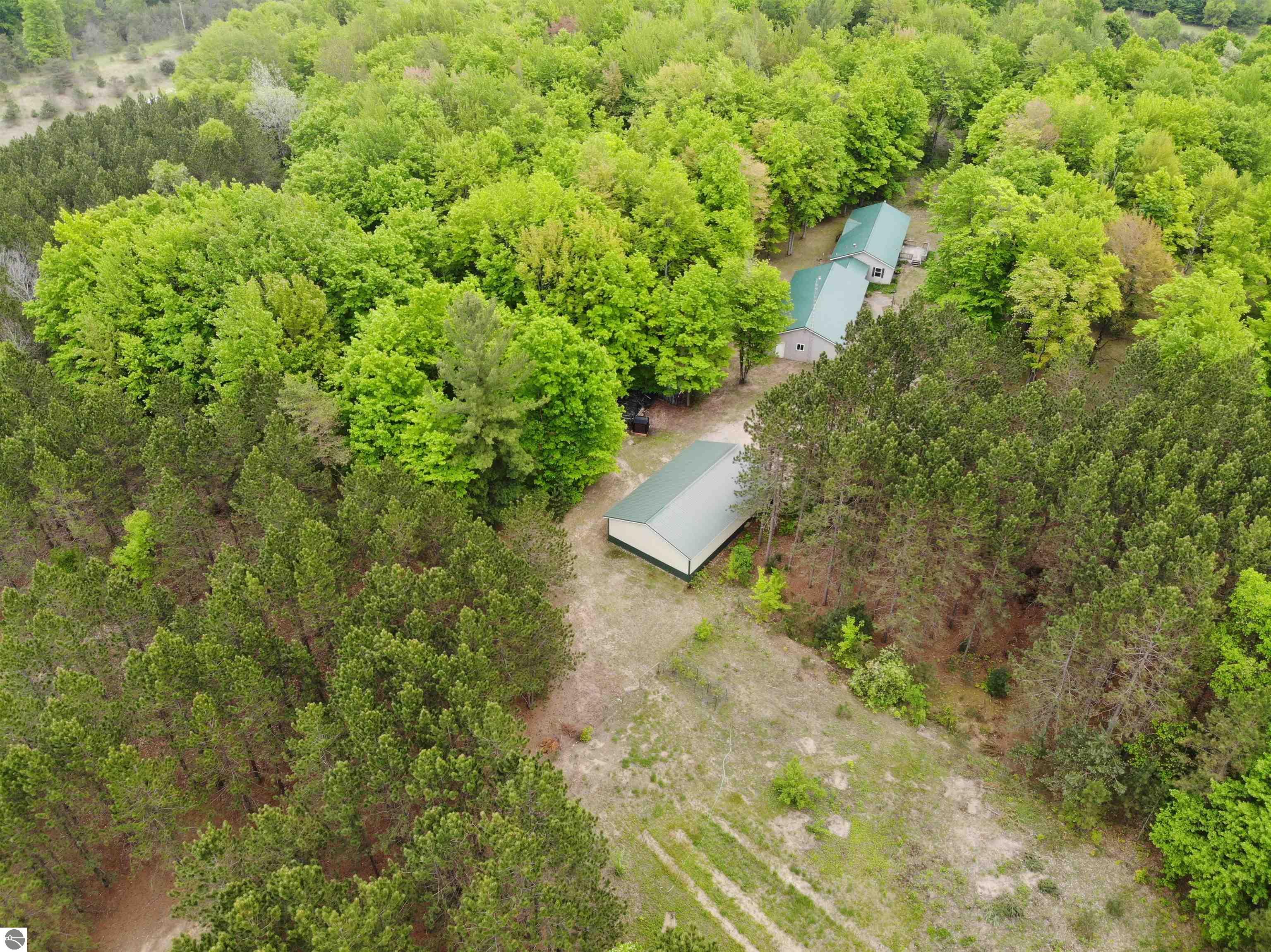 135 Montgomery Road, South Boardman, MI 49680 — Photo 8