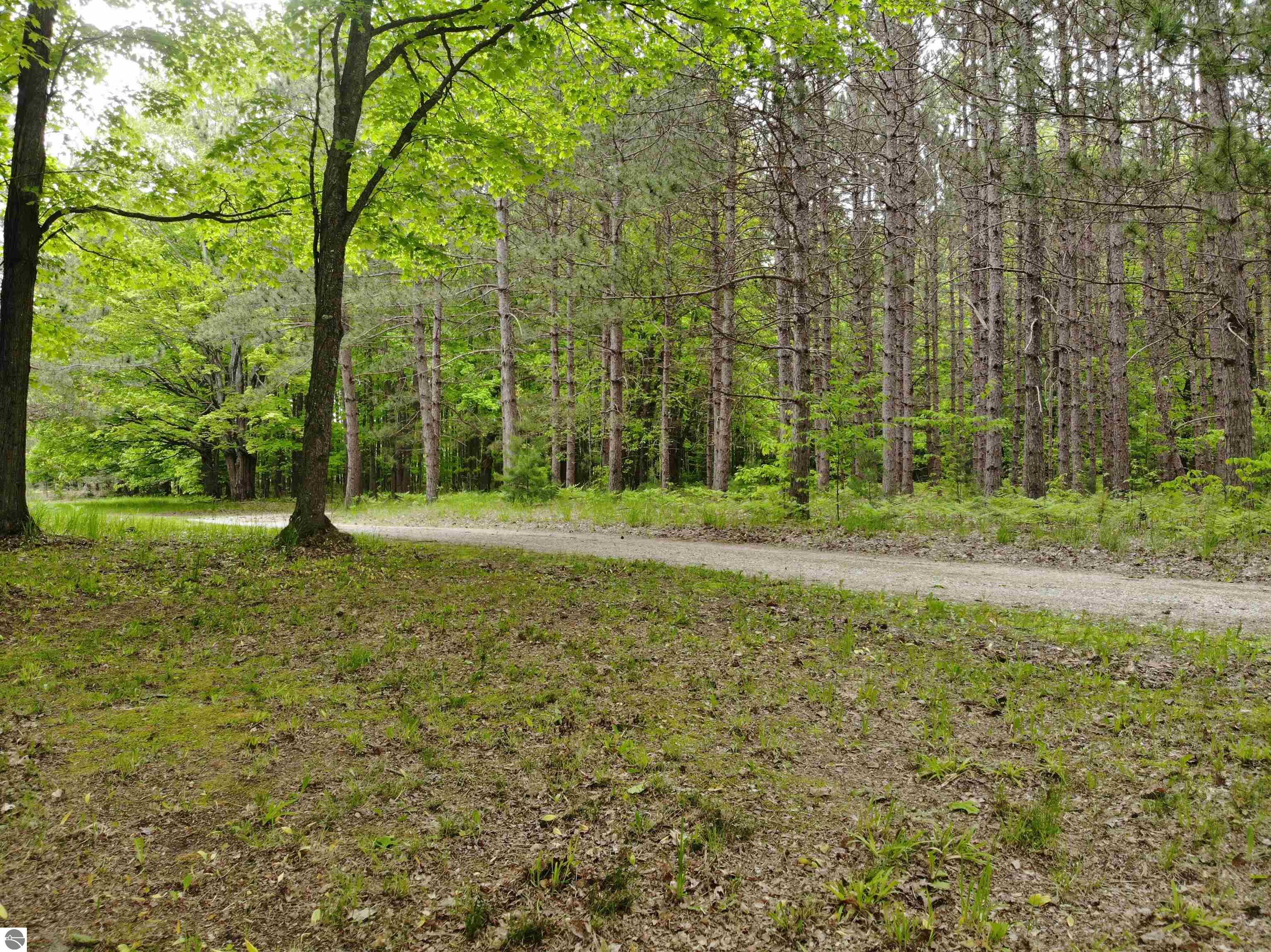 135 Montgomery Road, South Boardman, MI 49680 — Photo 9
