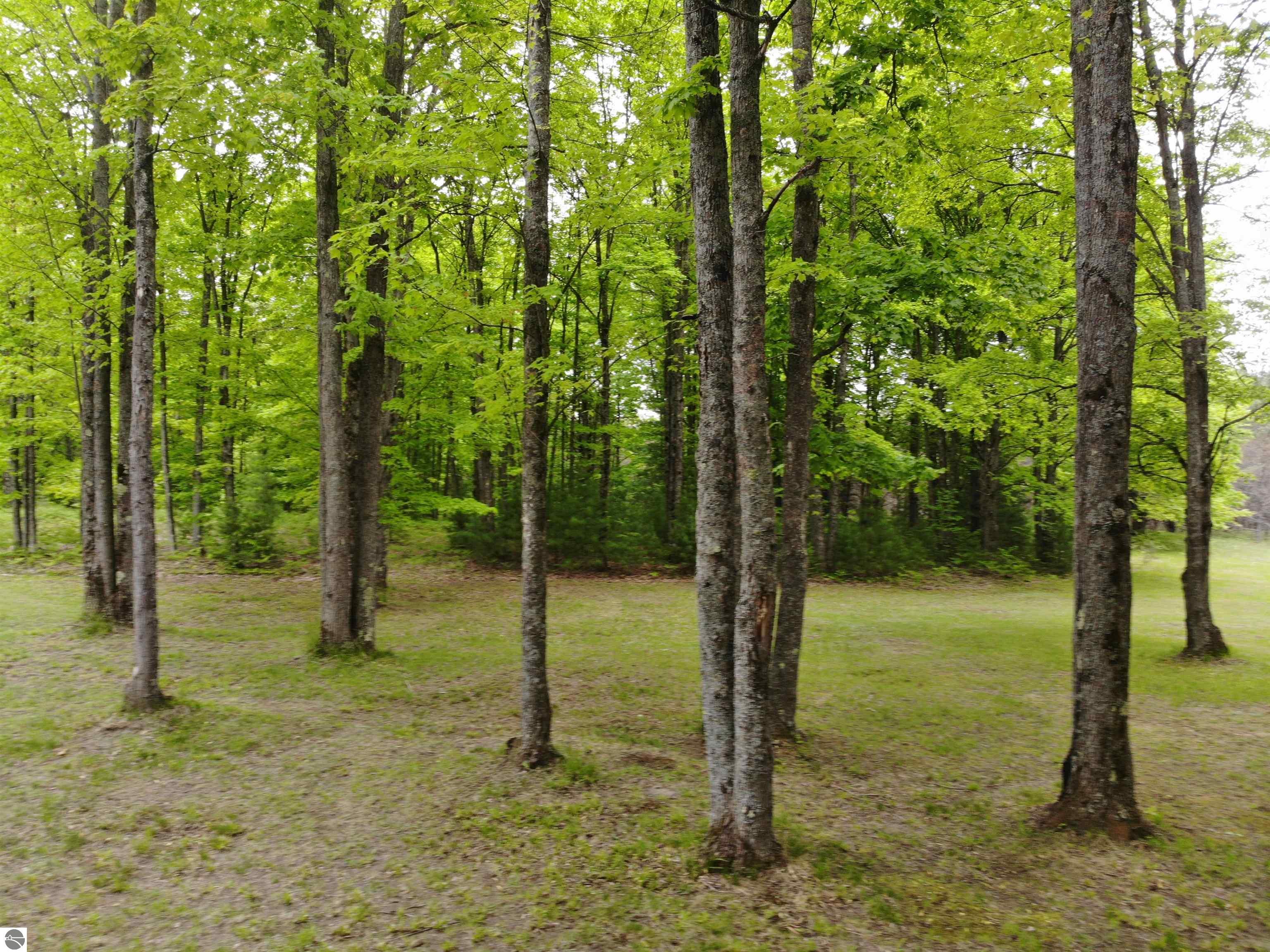 135 Montgomery Road, South Boardman, MI 49680 — Photo 10