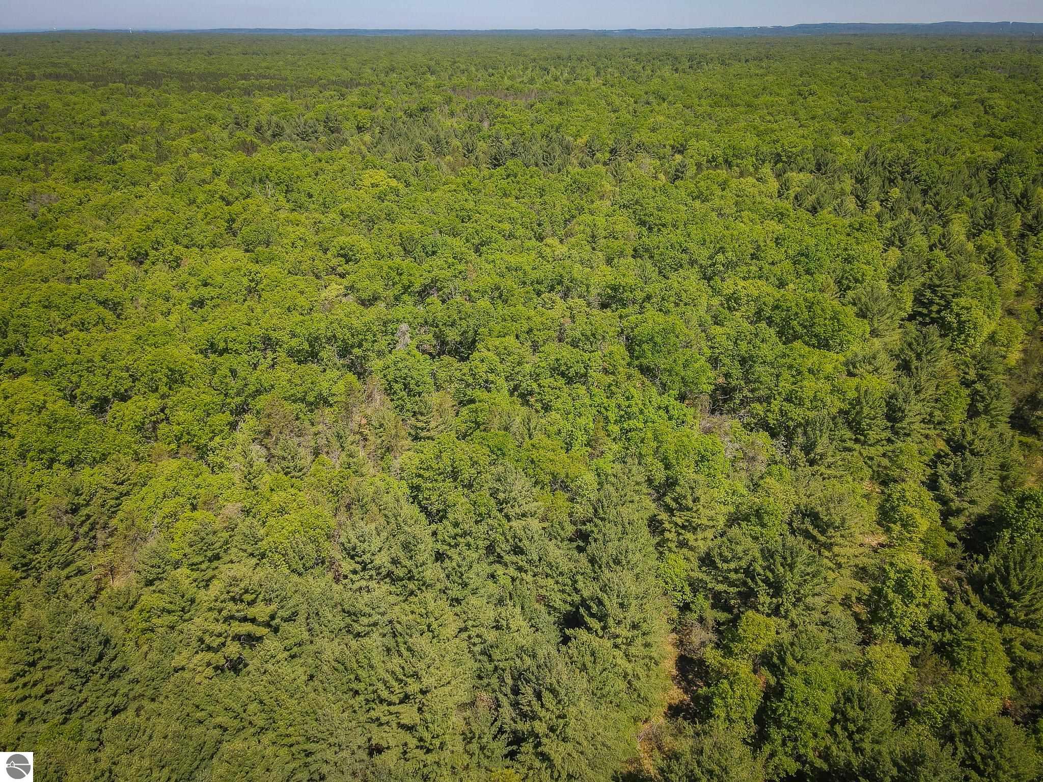 4993 Little River Road, Manistee, MI 49660 — Photo 16