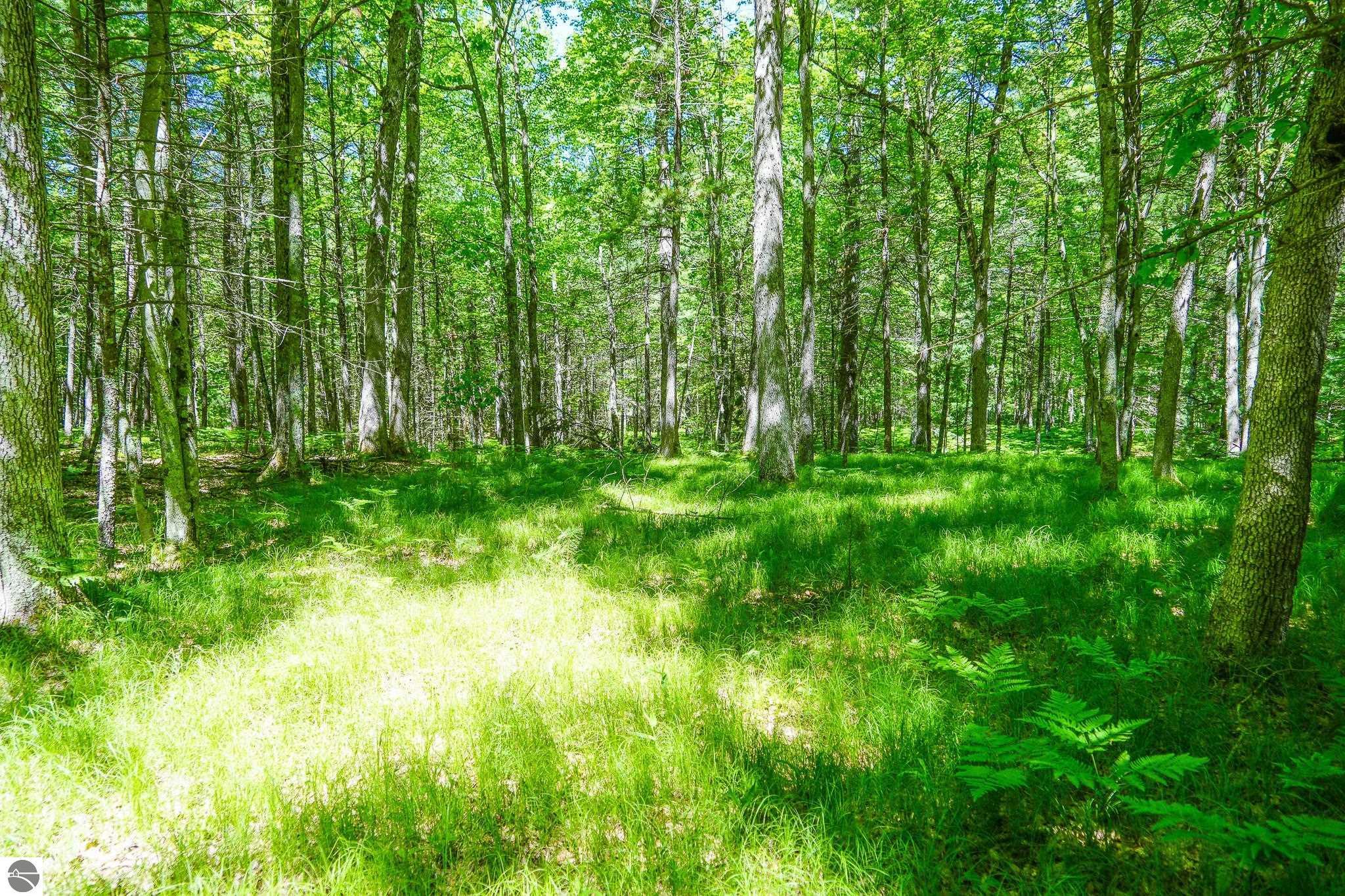 4993 Little River Road, Manistee, MI 49660 — Photo 21