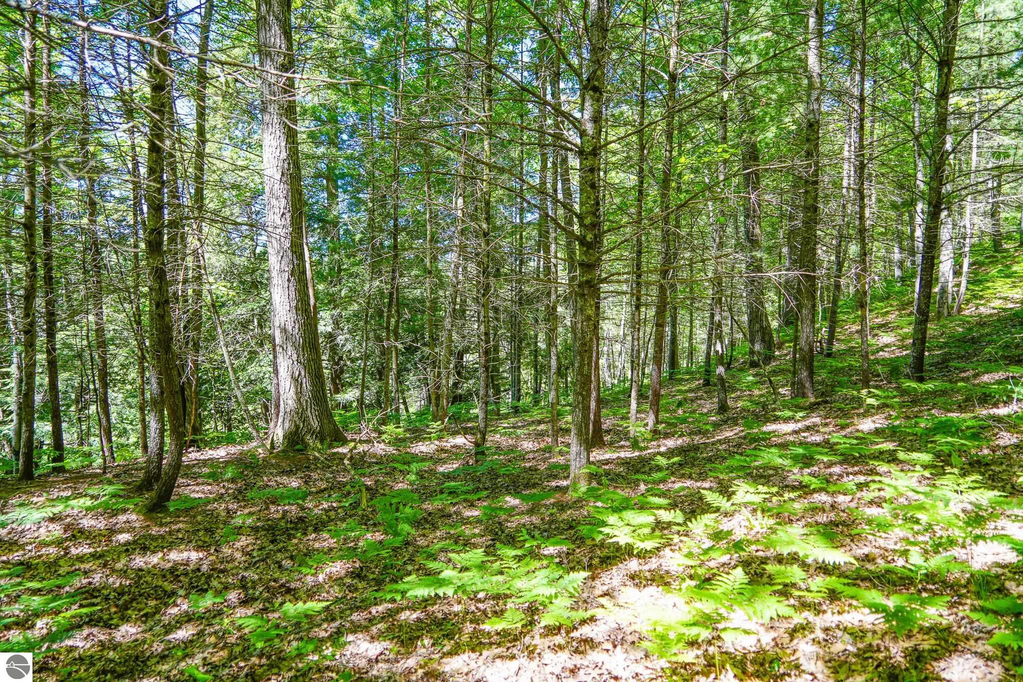 4993 Little River Road, Manistee, MI 49660 — Photo 26