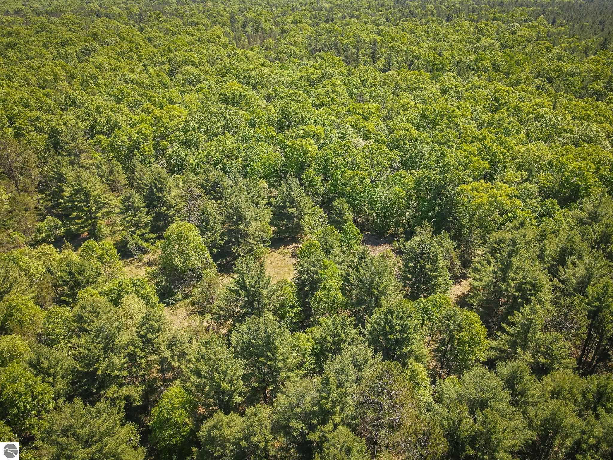 4993 Little River Road, Manistee, MI 49660 — Photo 40