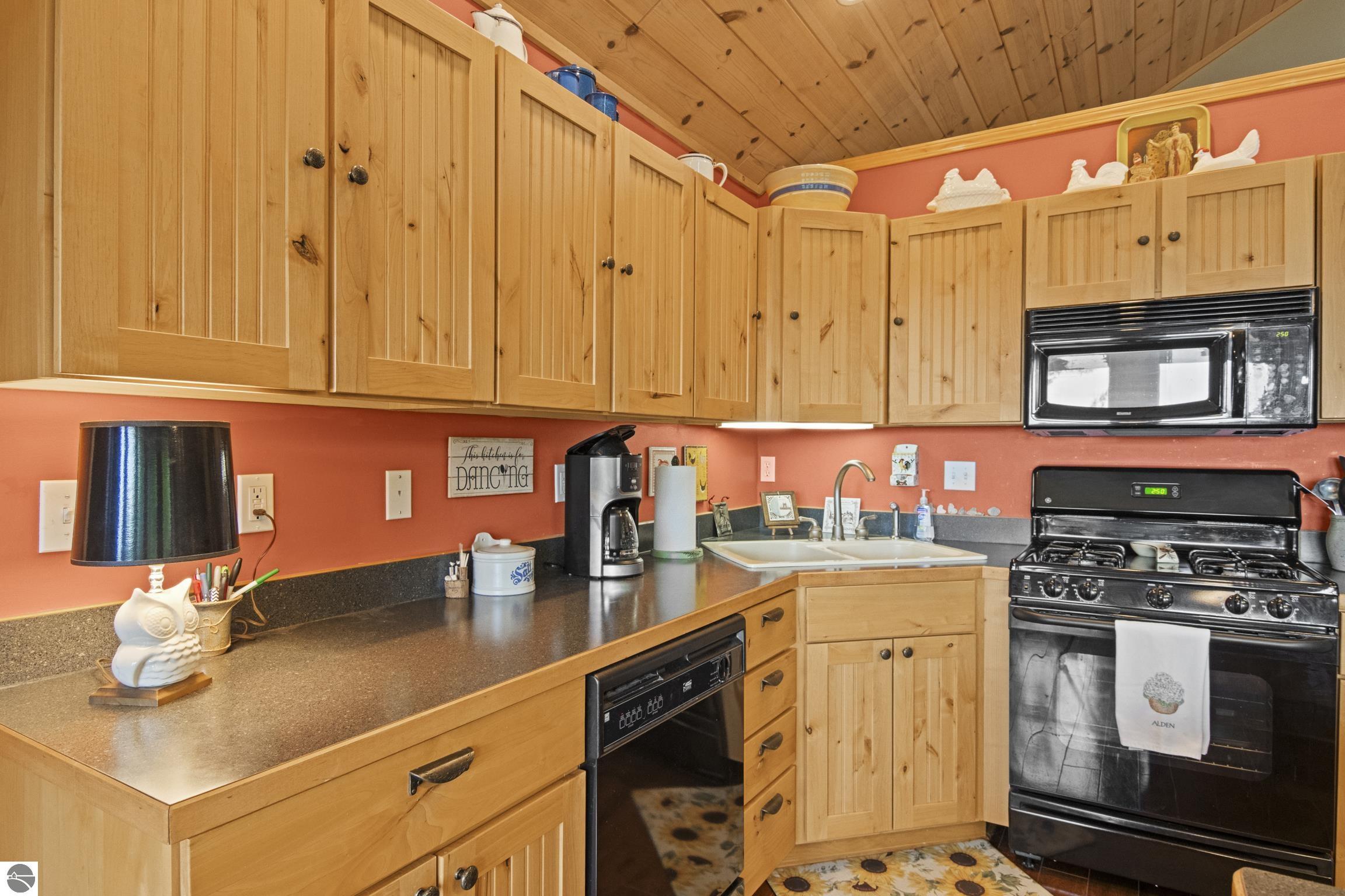 337 S East Torch Lake Drive, Bellaire, MI 49615 — Photo 19