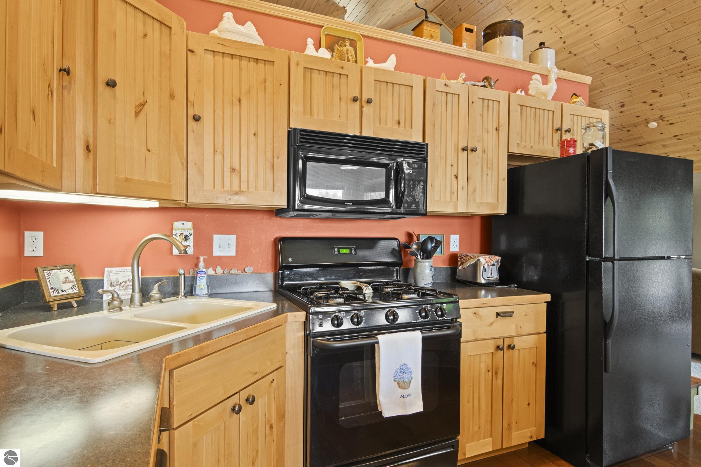 337 S East Torch Lake Drive, Bellaire, MI 49615 — Photo 20