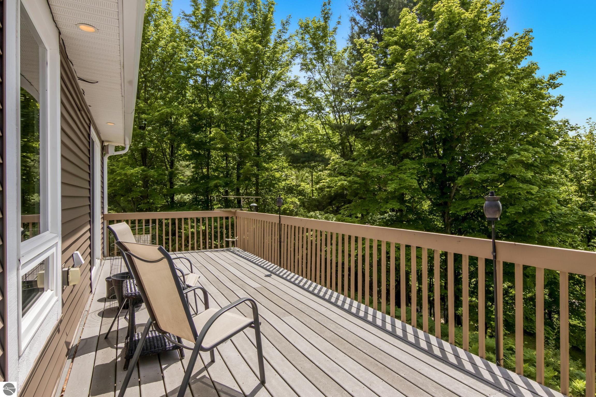 337 S East Torch Lake Drive, Bellaire, MI 49615 — Photo 27