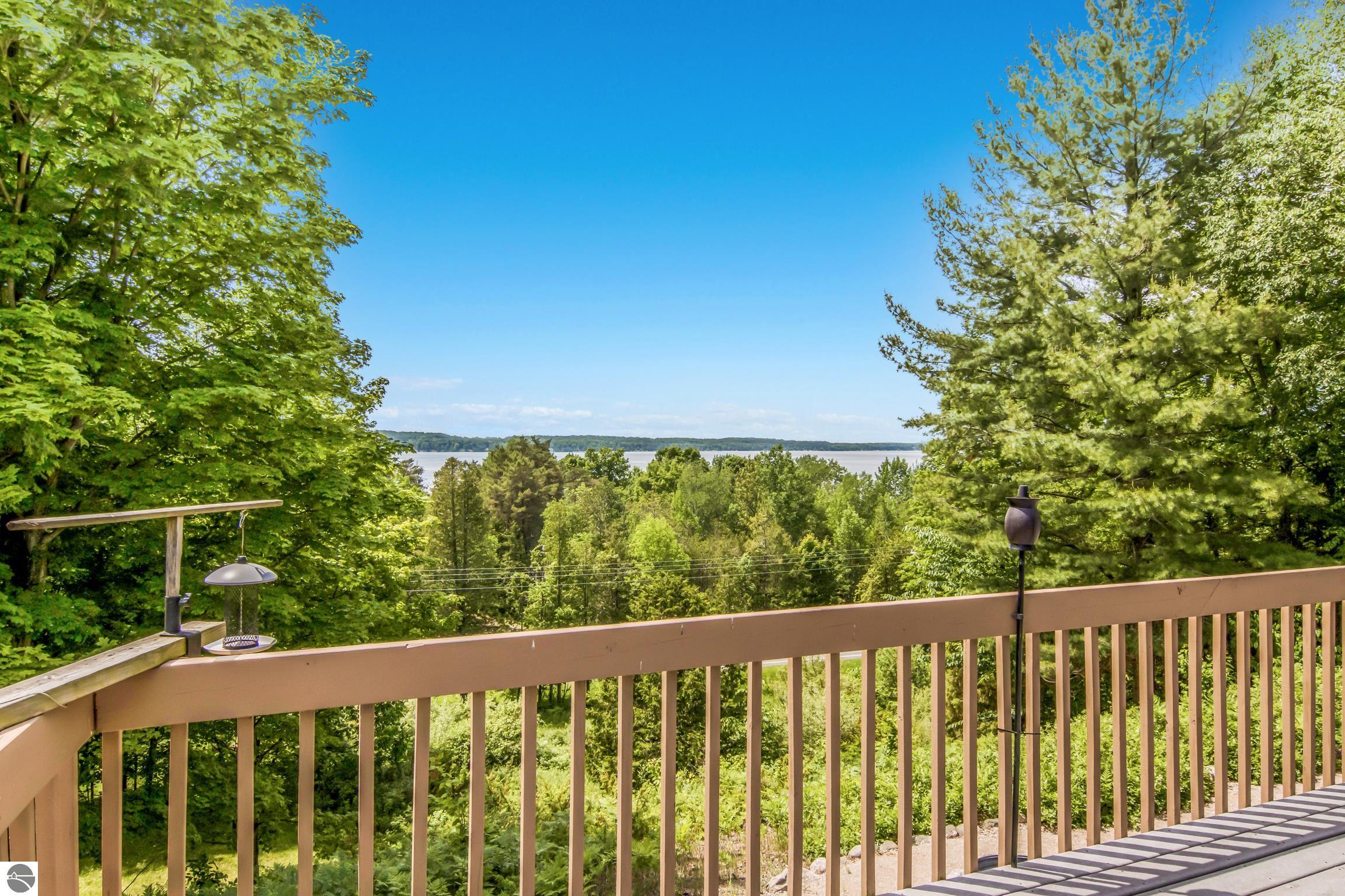 337 S East Torch Lake Drive, Bellaire, MI 49615 — Photo 29