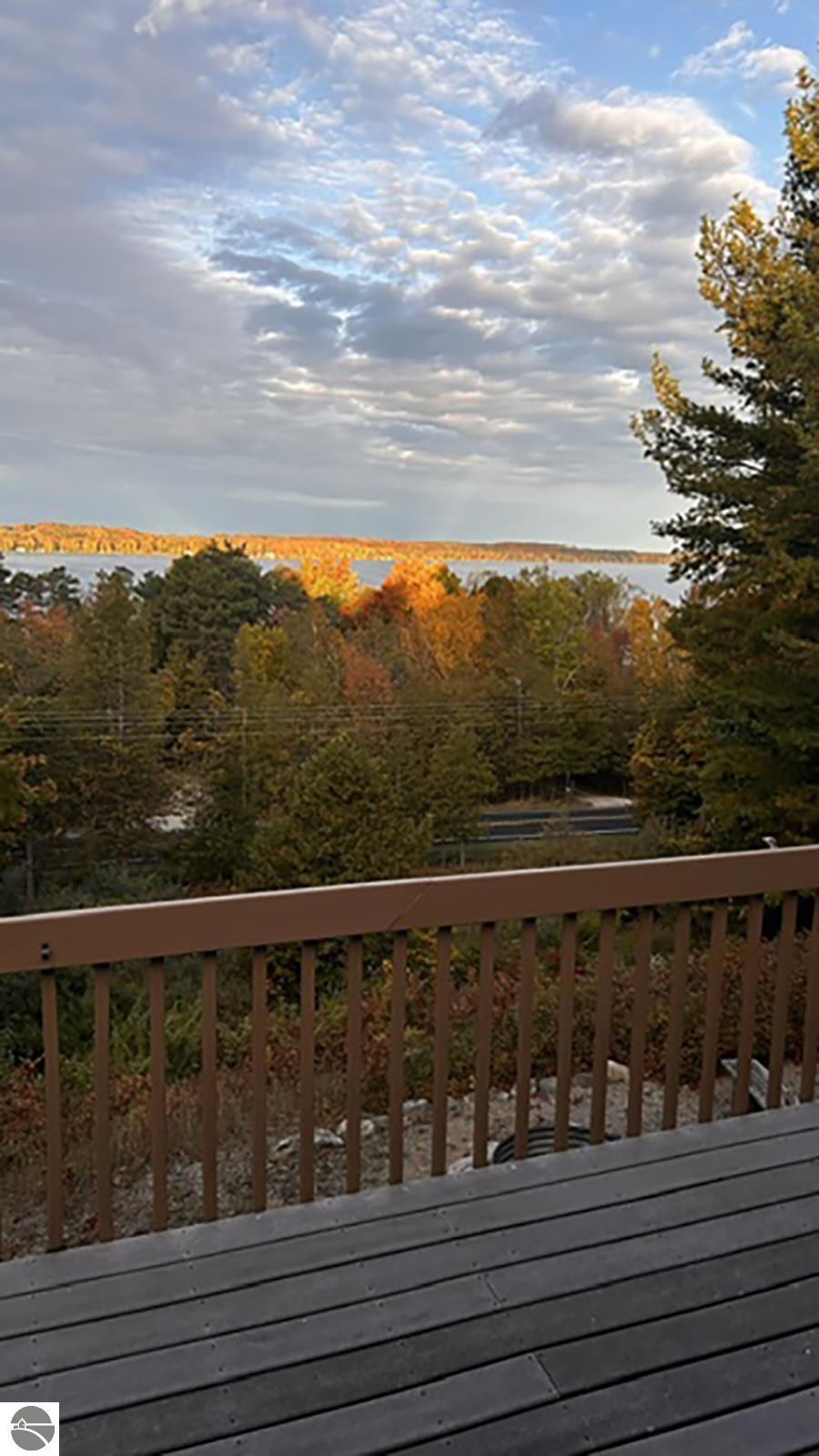 337 S East Torch Lake Drive, Bellaire, MI 49615 — Photo 31