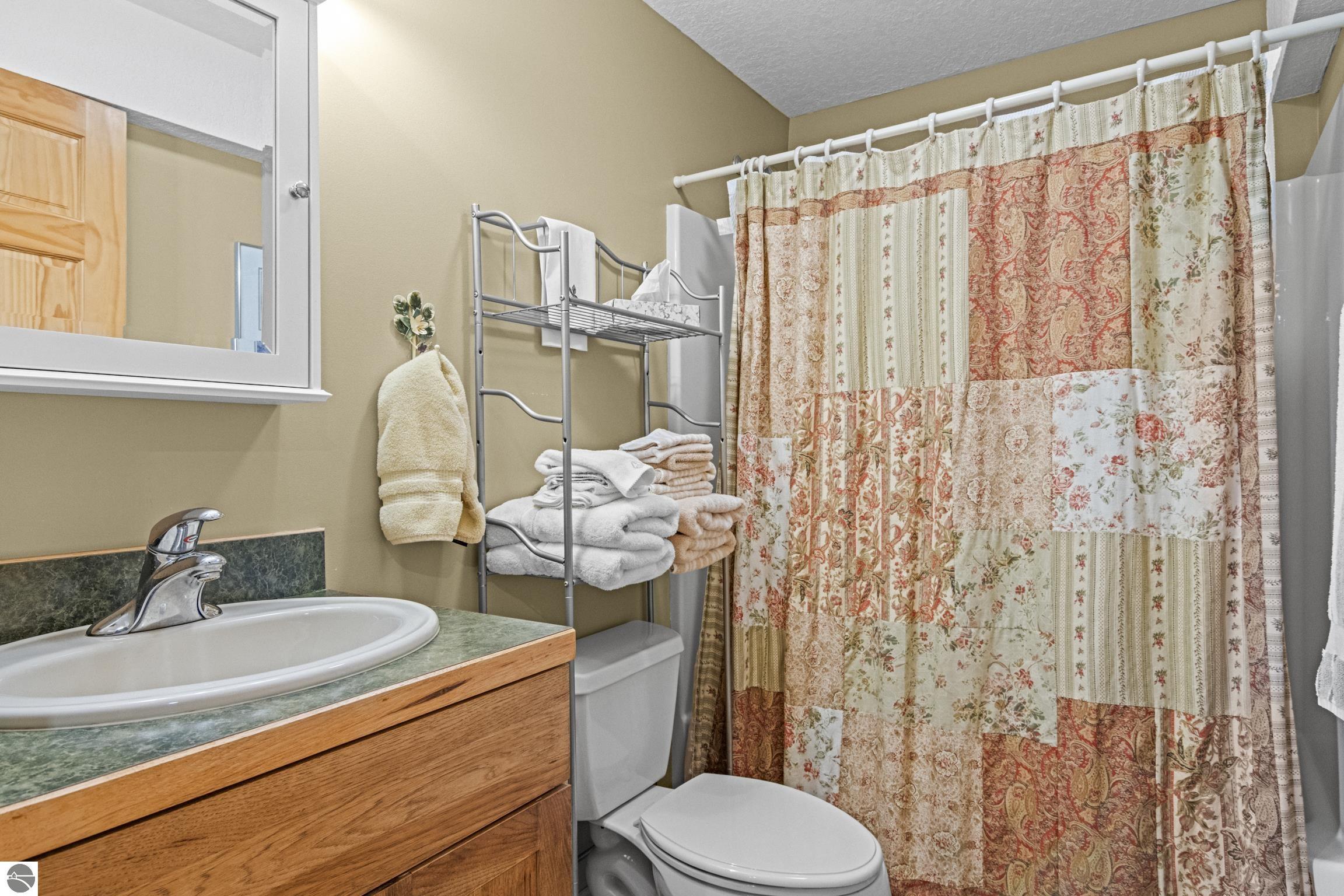 337 S East Torch Lake Drive, Bellaire, MI 49615 — Photo 52