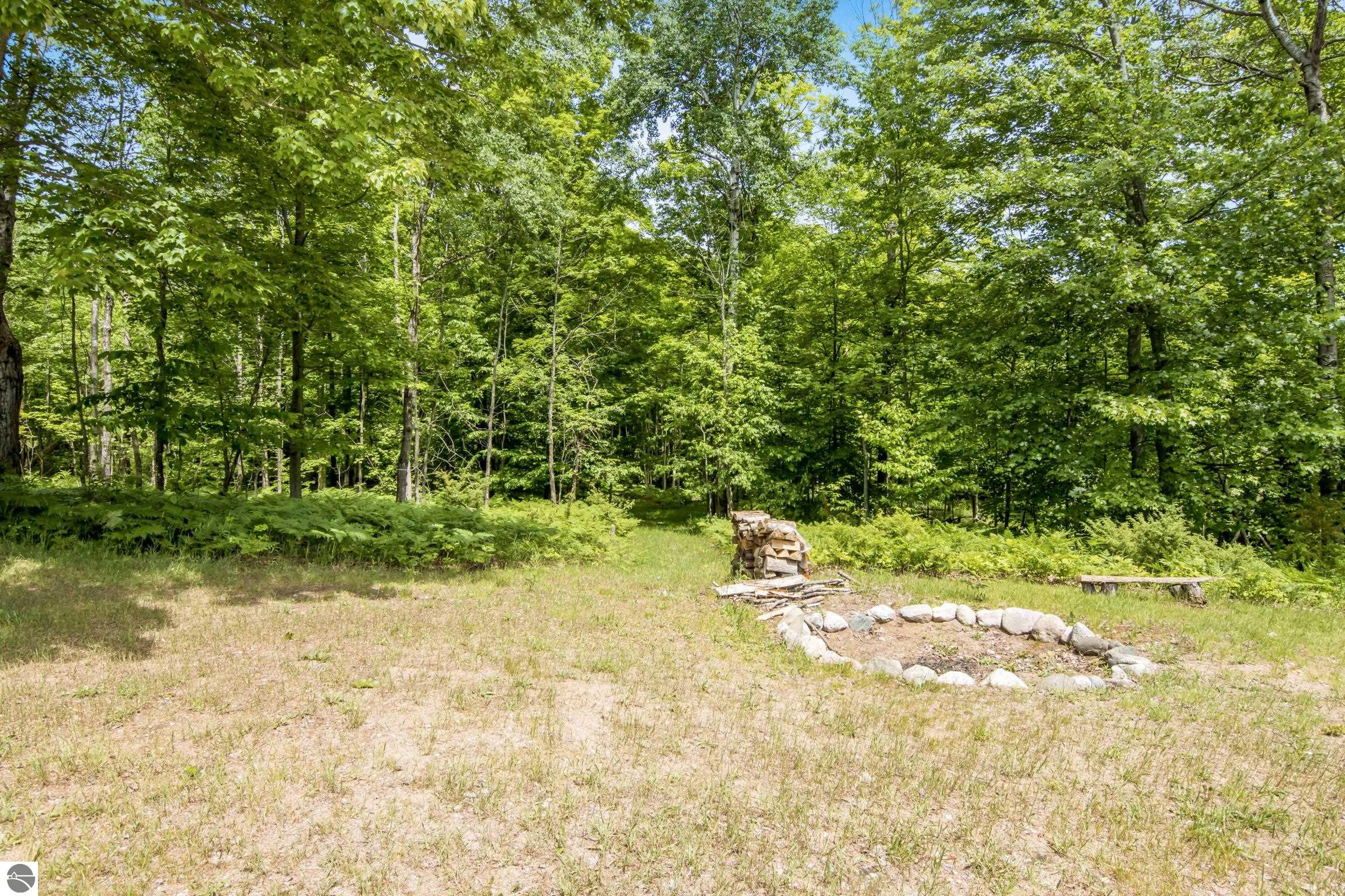 337 S East Torch Lake Drive, Bellaire, MI 49615 — Photo 54