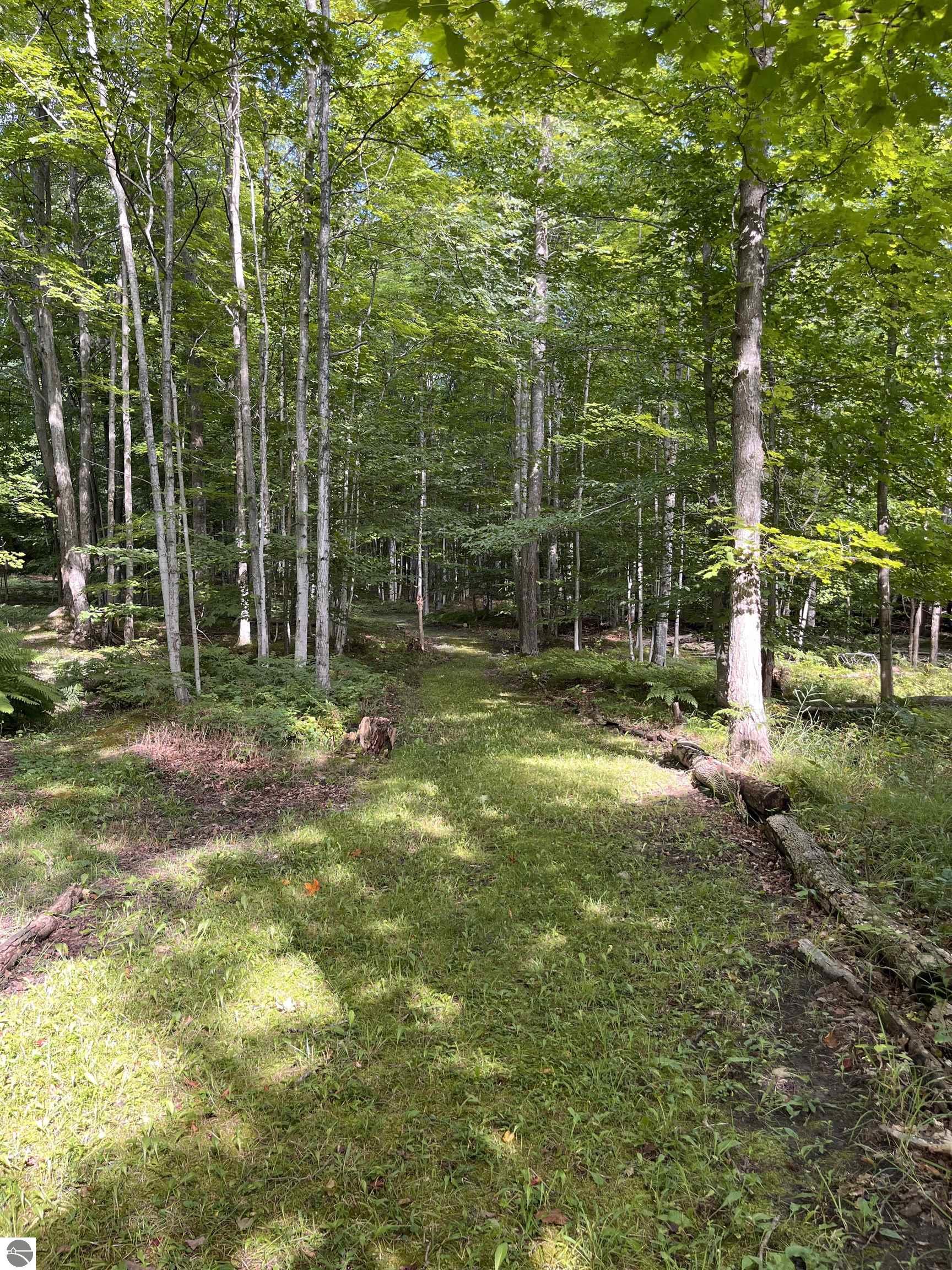 337 S East Torch Lake Drive, Bellaire, MI 49615 — Photo 55