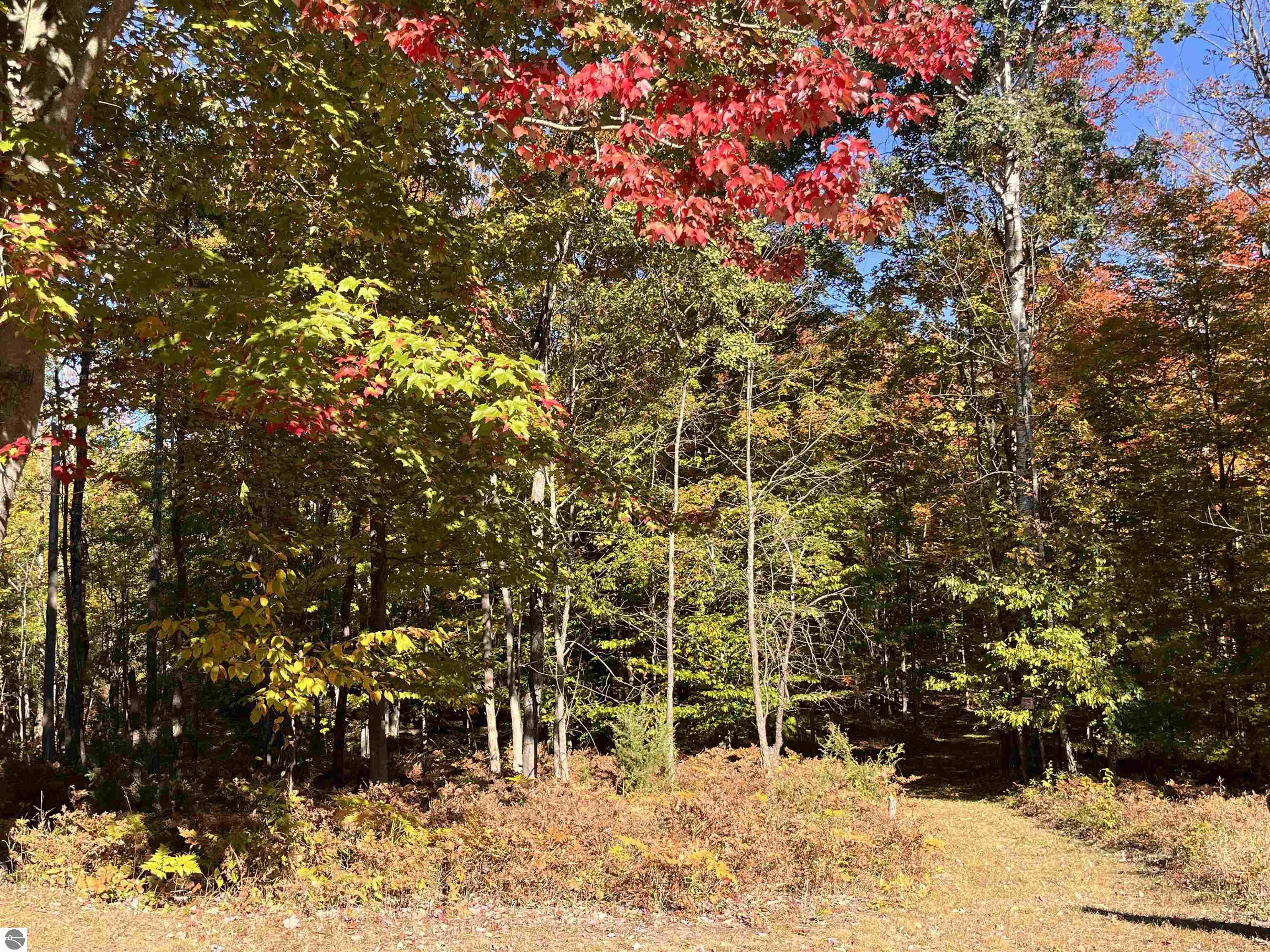 337 S East Torch Lake Drive, Bellaire, MI 49615 — Photo 57