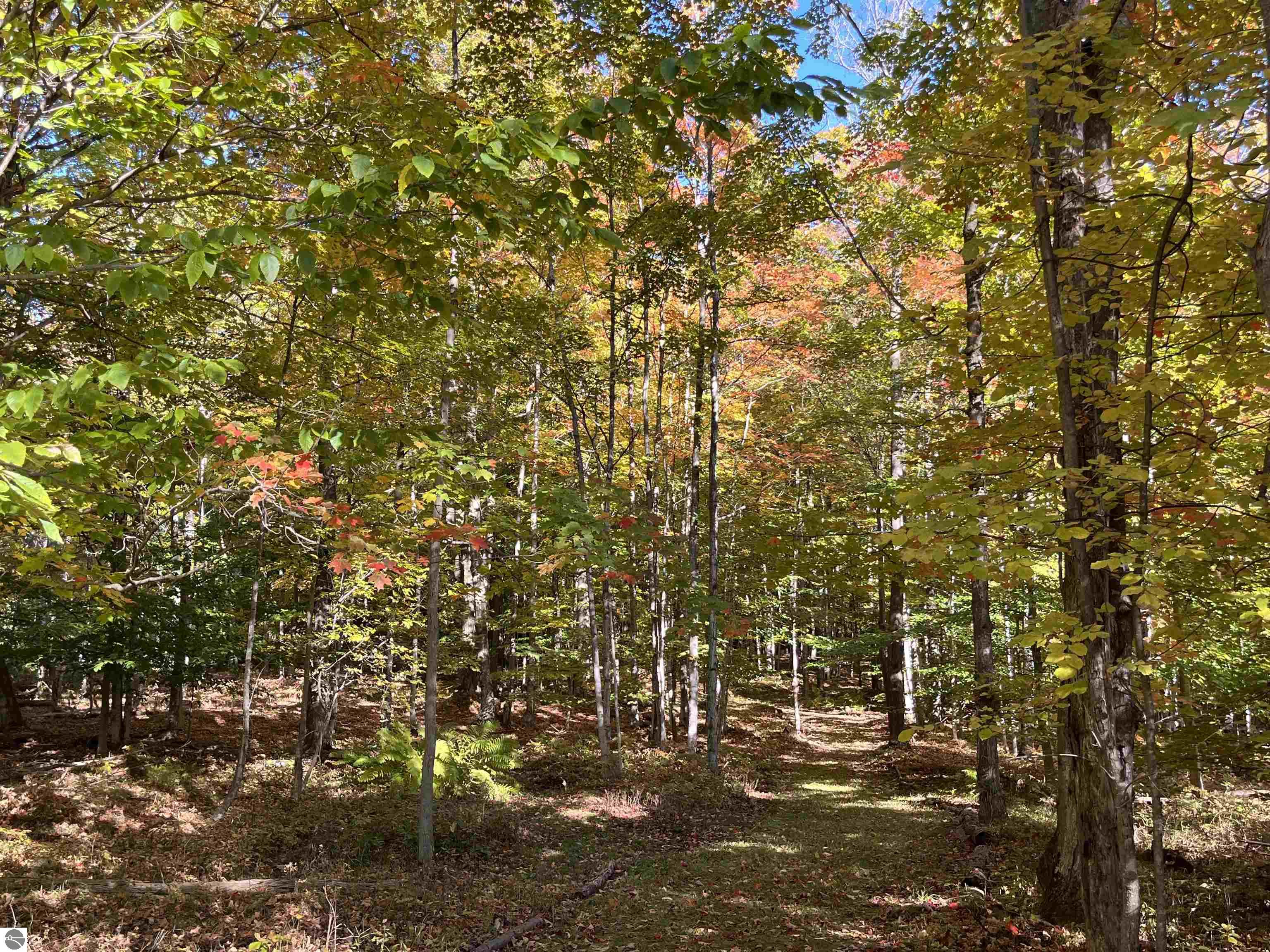 337 S East Torch Lake Drive, Bellaire, MI 49615 — Photo 58