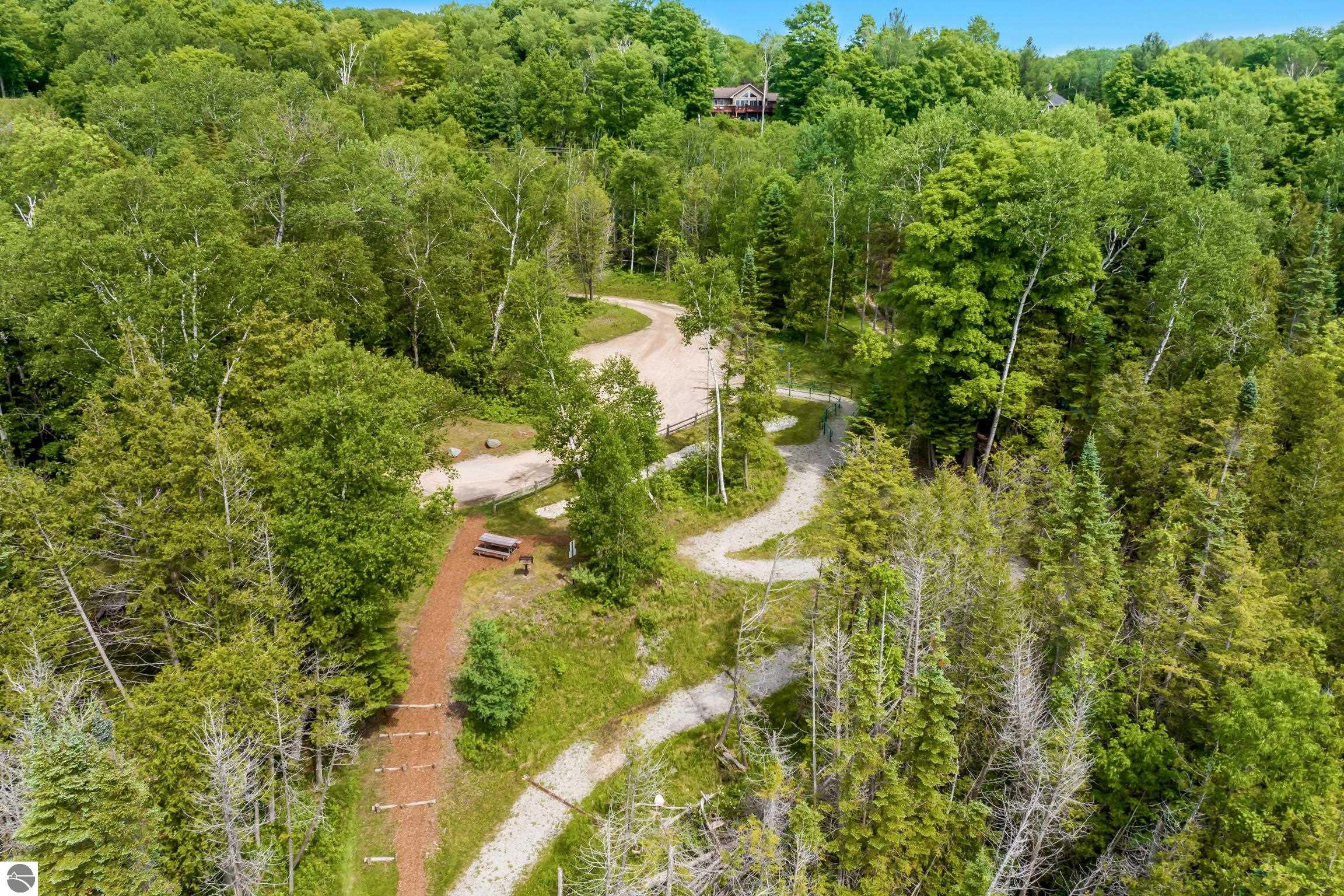 337 S East Torch Lake Drive, Bellaire, MI 49615 — Photo 64