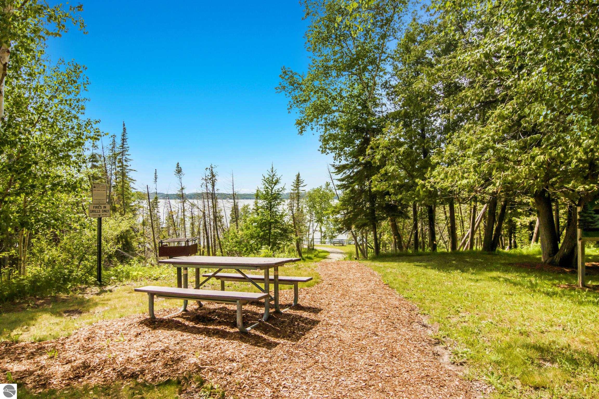 337 S East Torch Lake Drive, Bellaire, MI 49615 — Photo 68