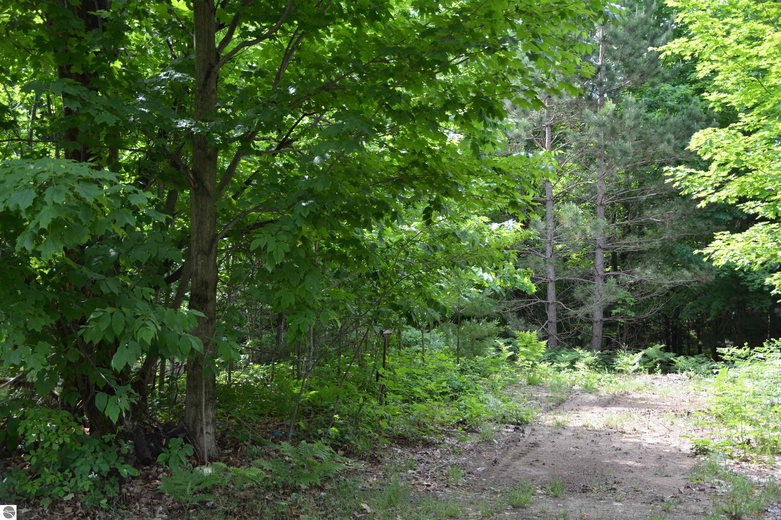 Image 33