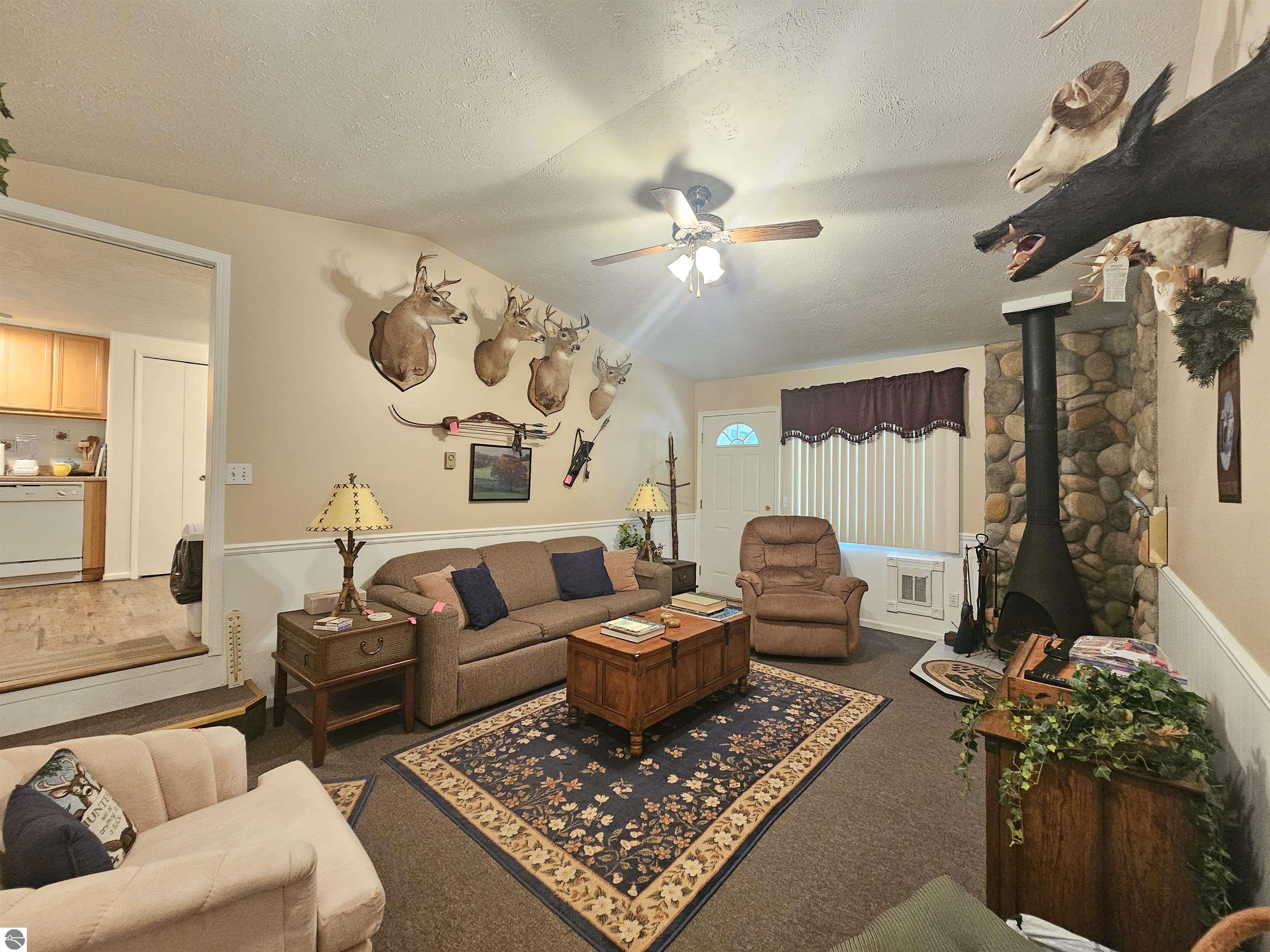 3351 S Dickerson Road, Lake City, MI 49651 — Photo 10