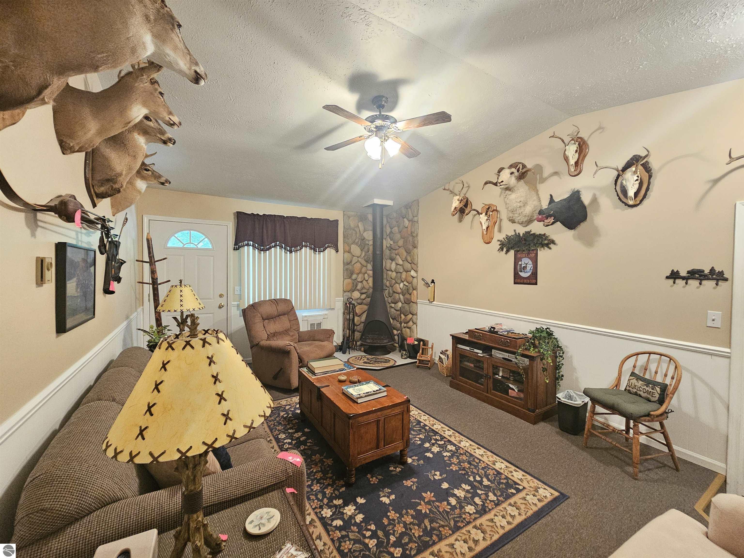 3351 S Dickerson Road, Lake City, MI 49651 — Photo 11