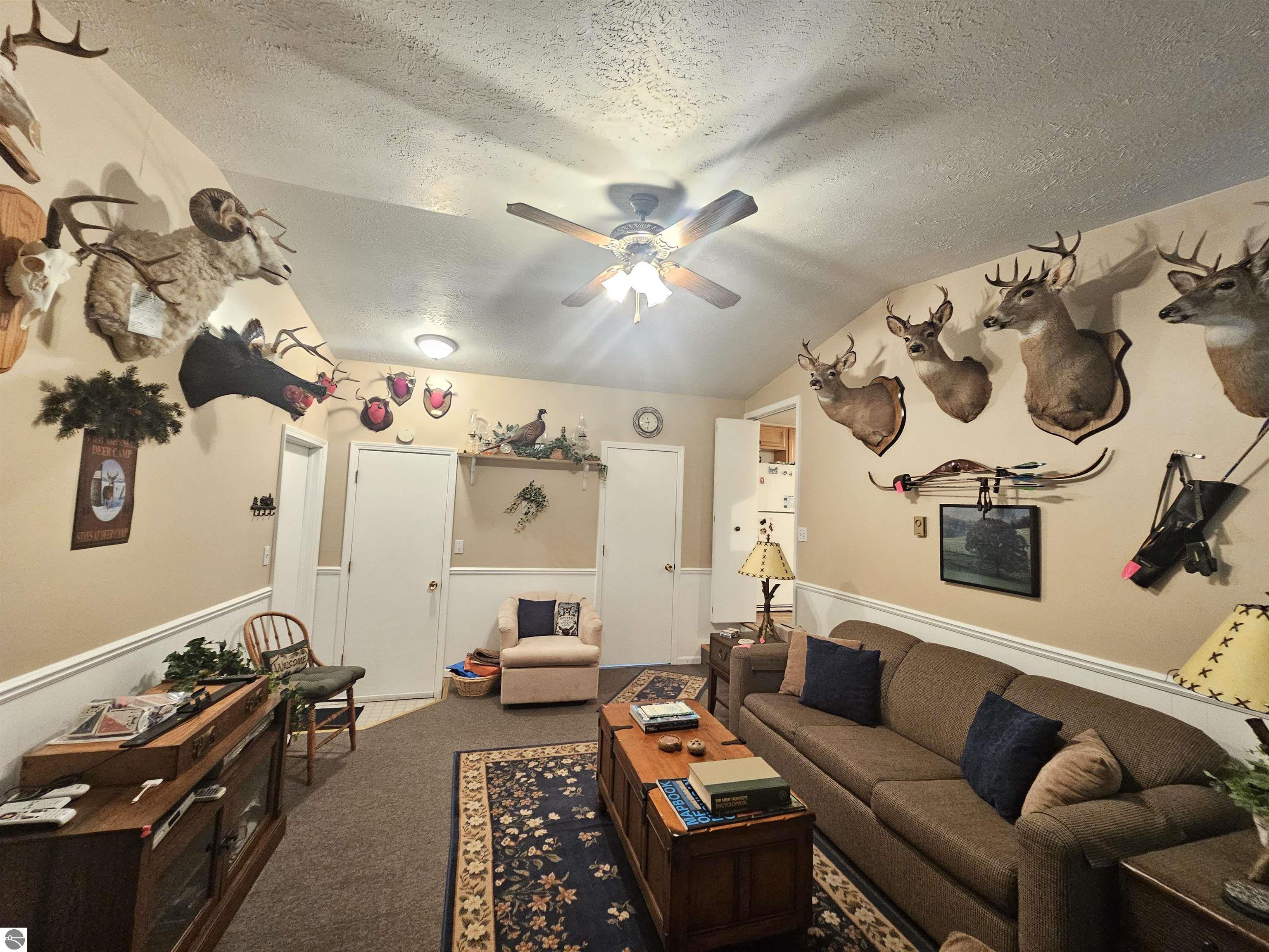 3351 S Dickerson Road, Lake City, MI 49651 — Photo 12