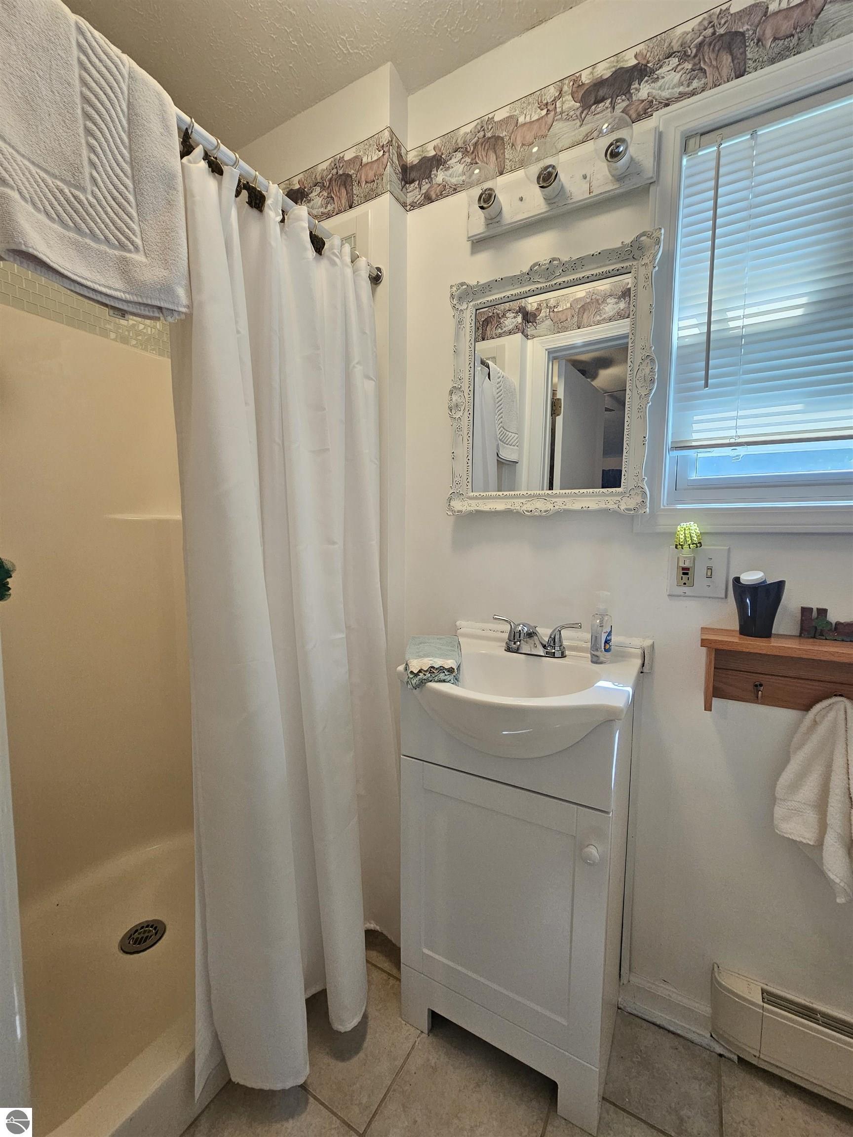 3351 S Dickerson Road, Lake City, MI 49651 — Photo 18
