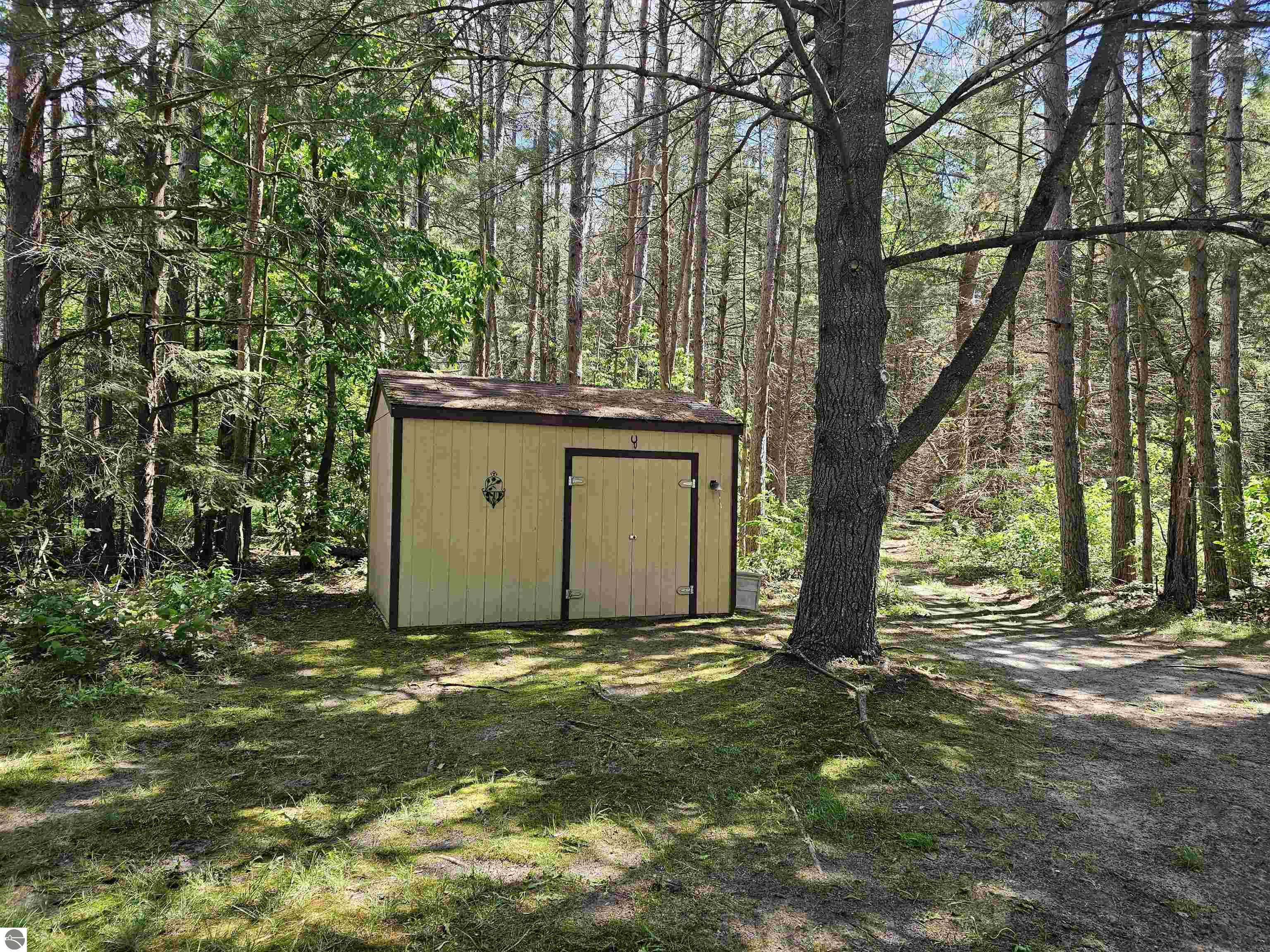 3351 S Dickerson Road, Lake City, MI 49651 — Photo 29