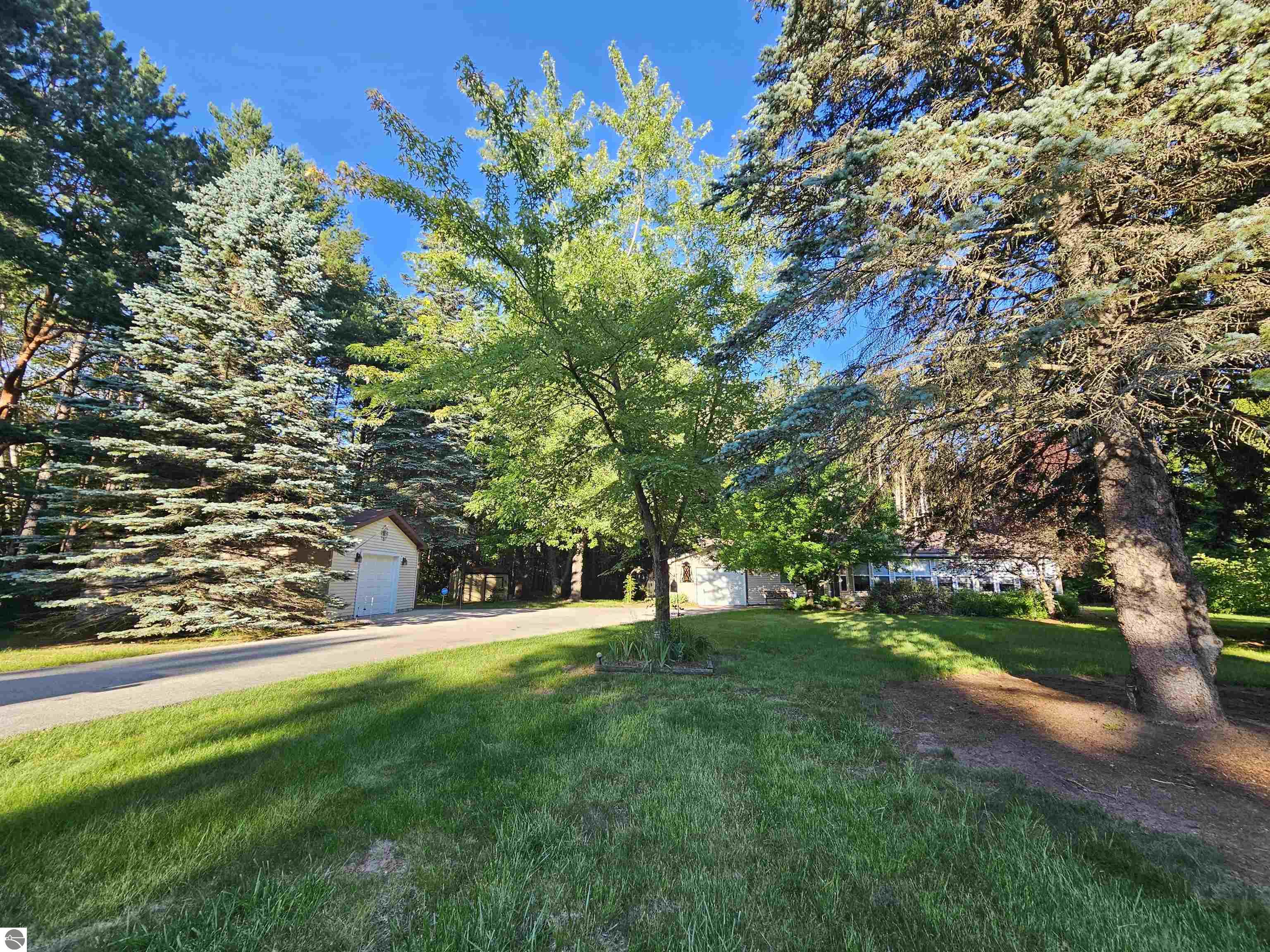 3351 S Dickerson Road, Lake City, MI 49651 — Photo 4
