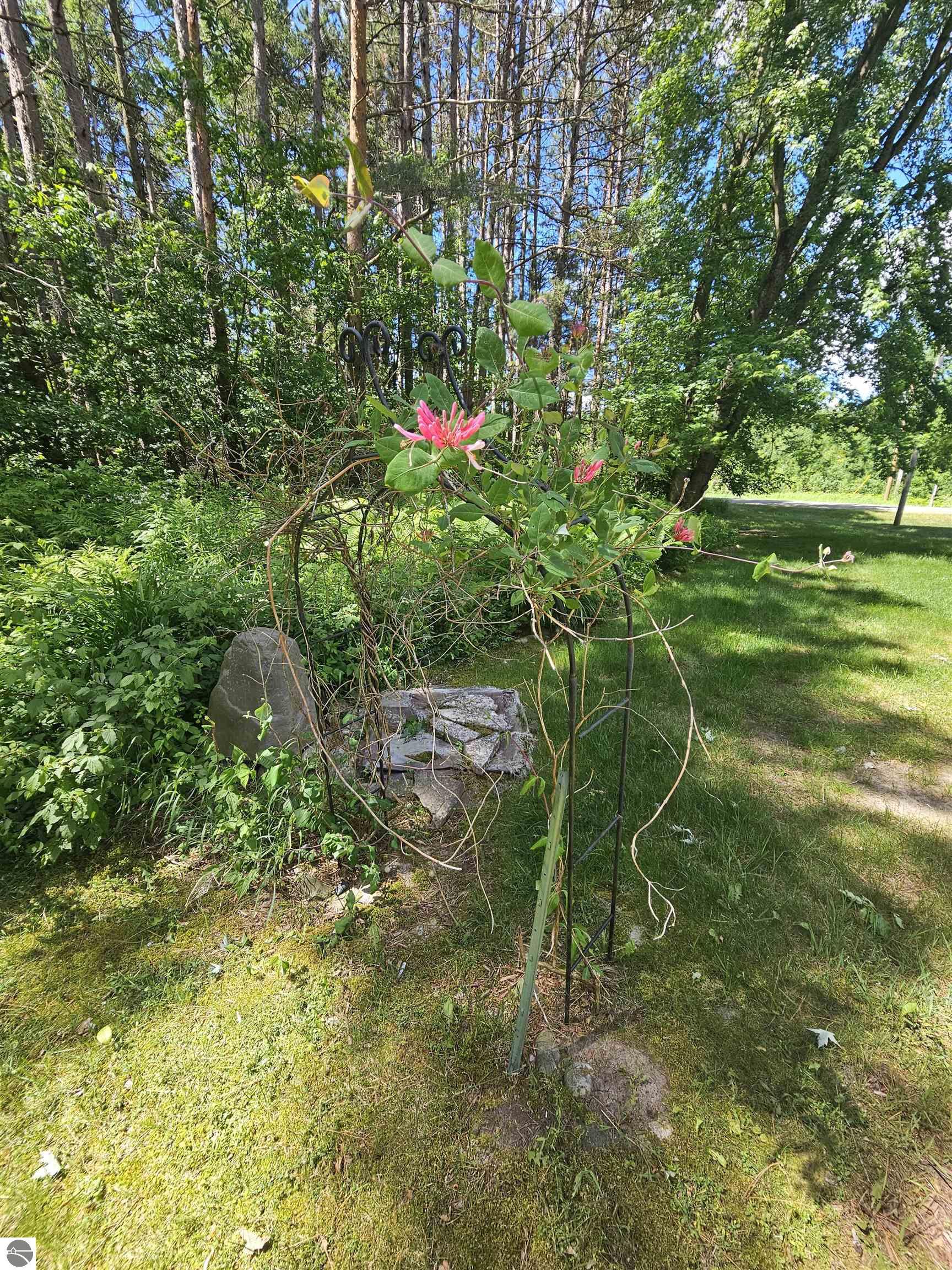 3351 S Dickerson Road, Lake City, MI 49651 — Photo 36