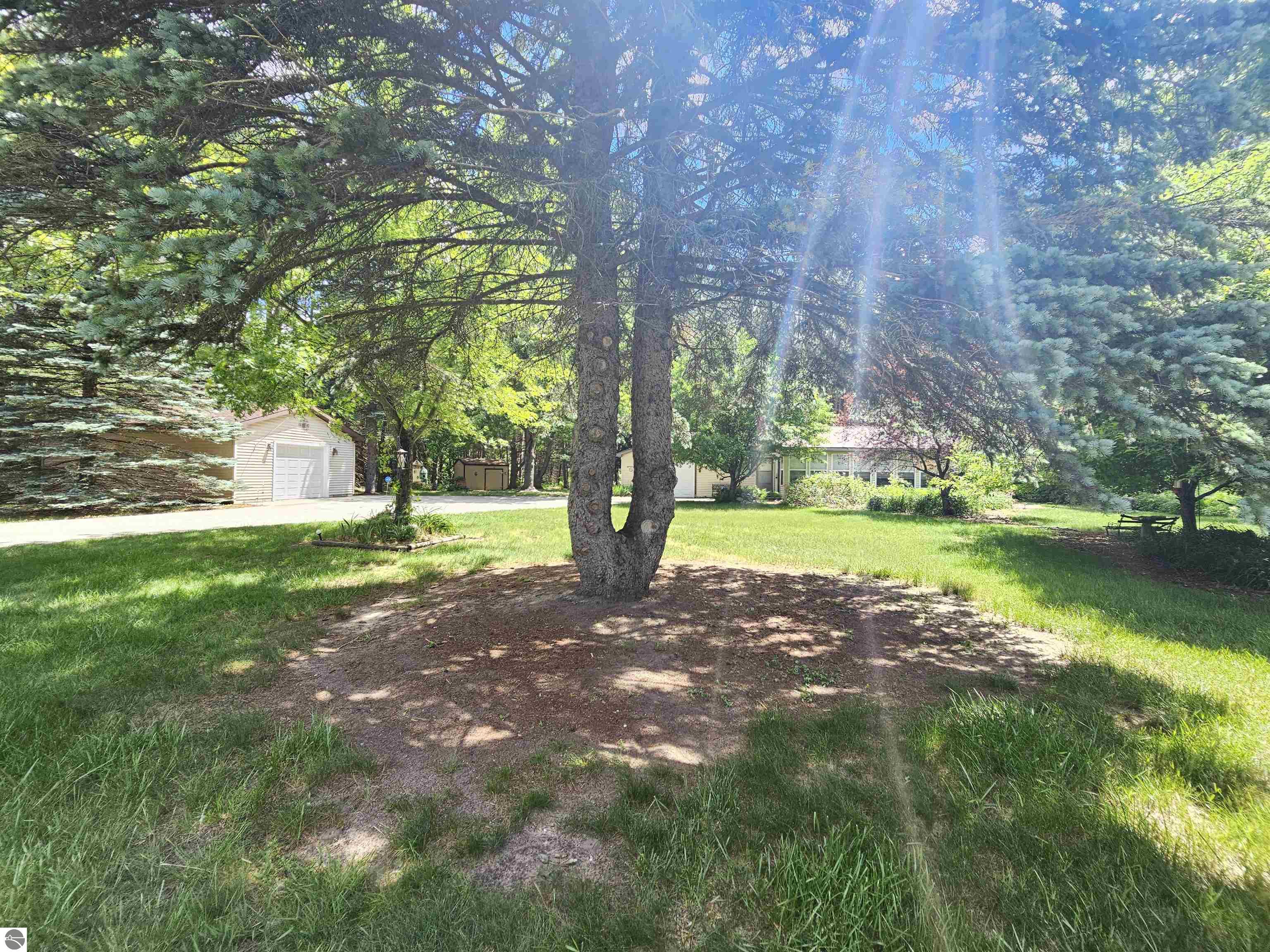 3351 S Dickerson Road, Lake City, MI 49651 — Photo 37