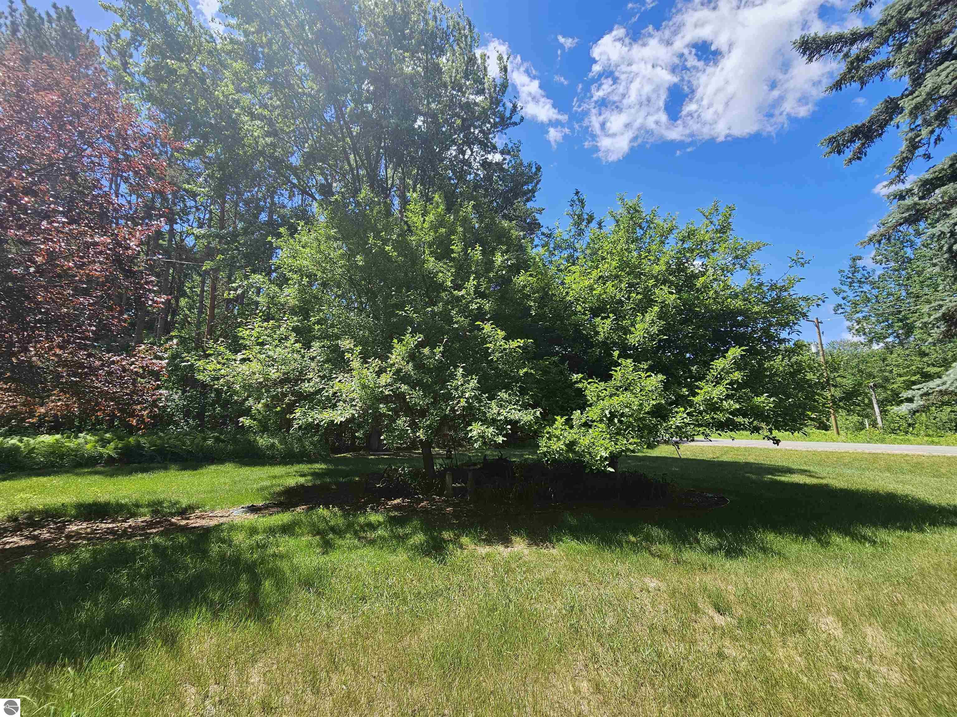 3351 S Dickerson Road, Lake City, MI 49651 — Photo 39