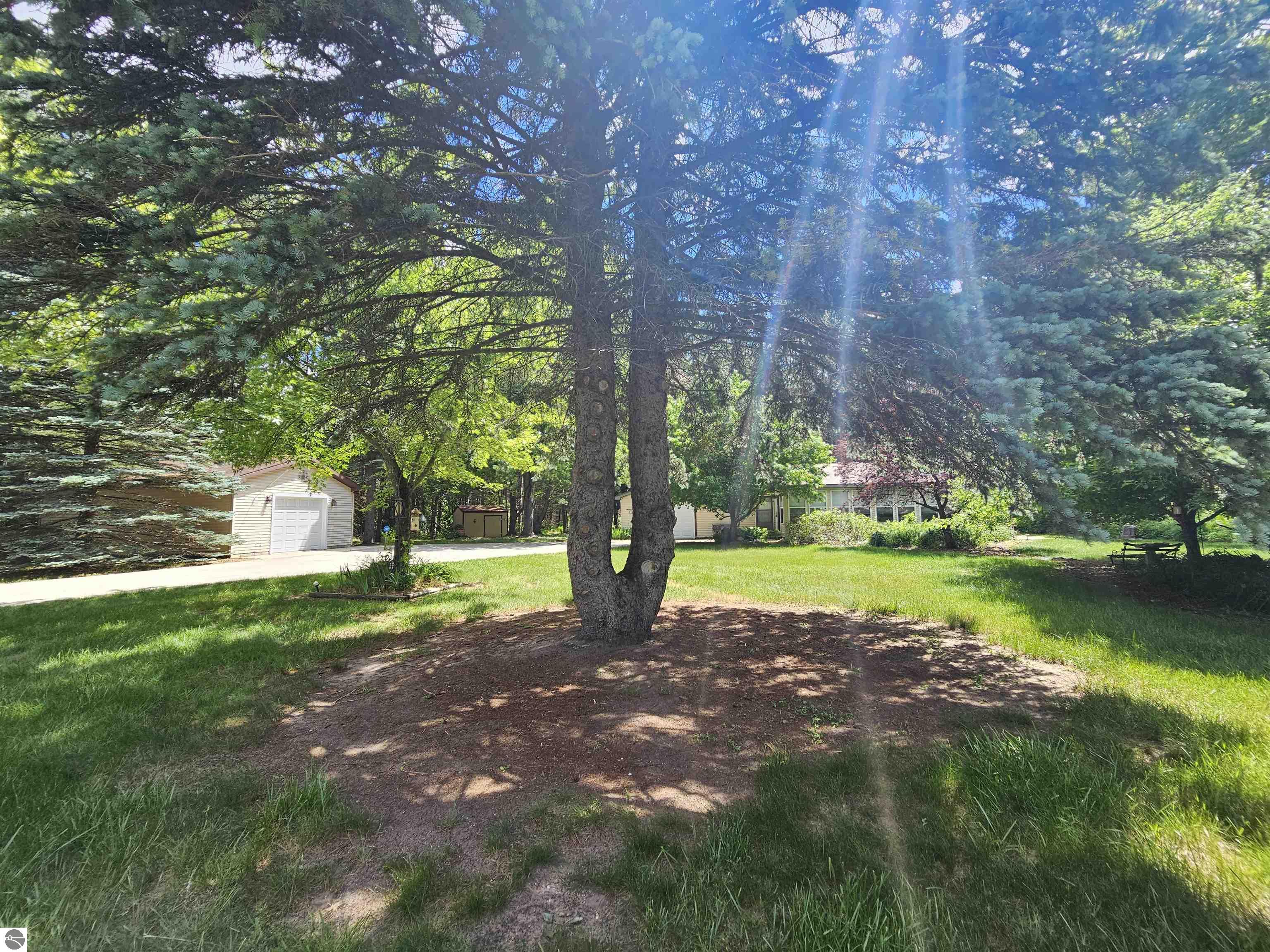 3351 S Dickerson Road, Lake City, MI 49651 — Photo 44