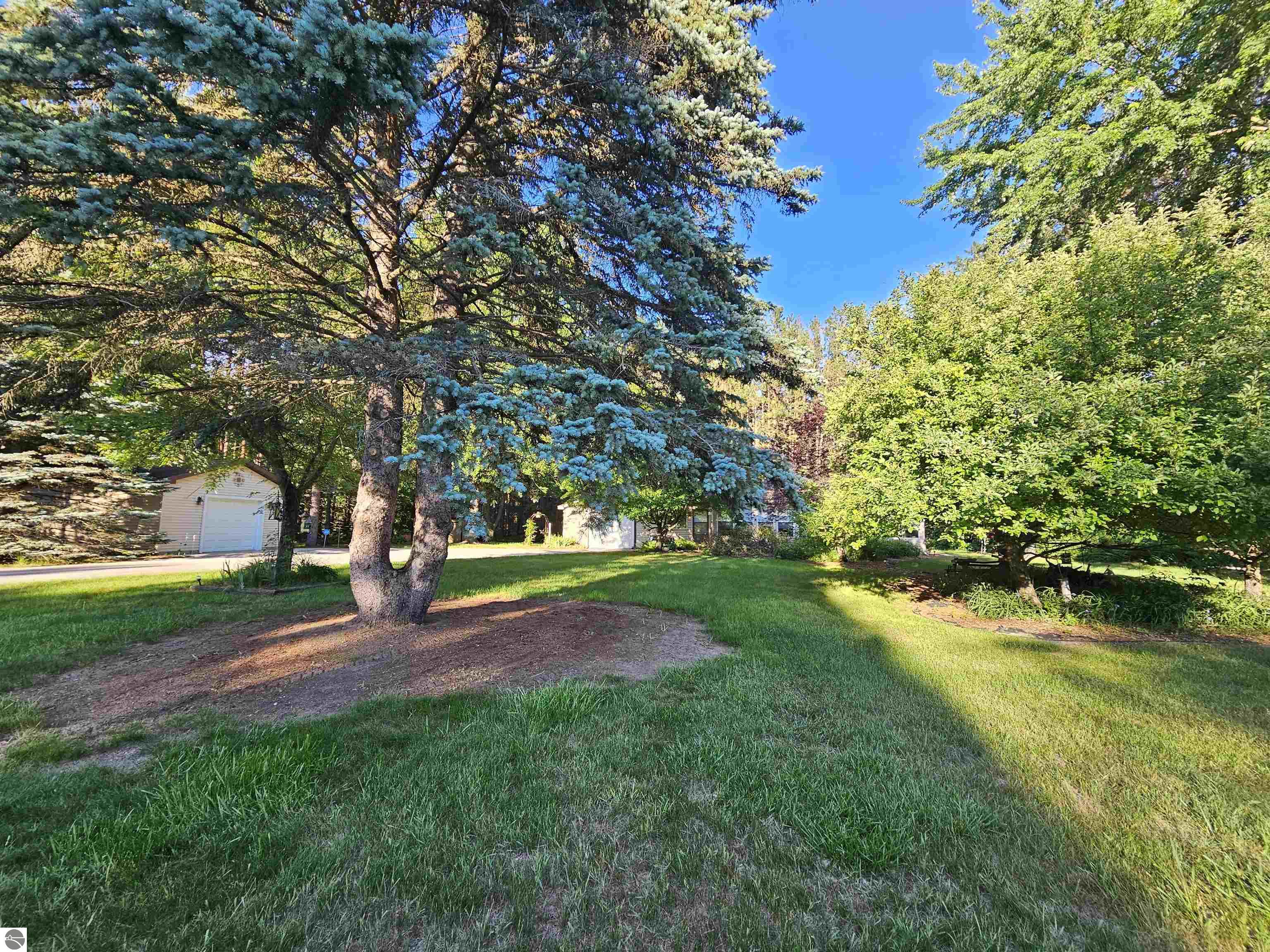 3351 S Dickerson Road, Lake City, MI 49651 — Photo 49