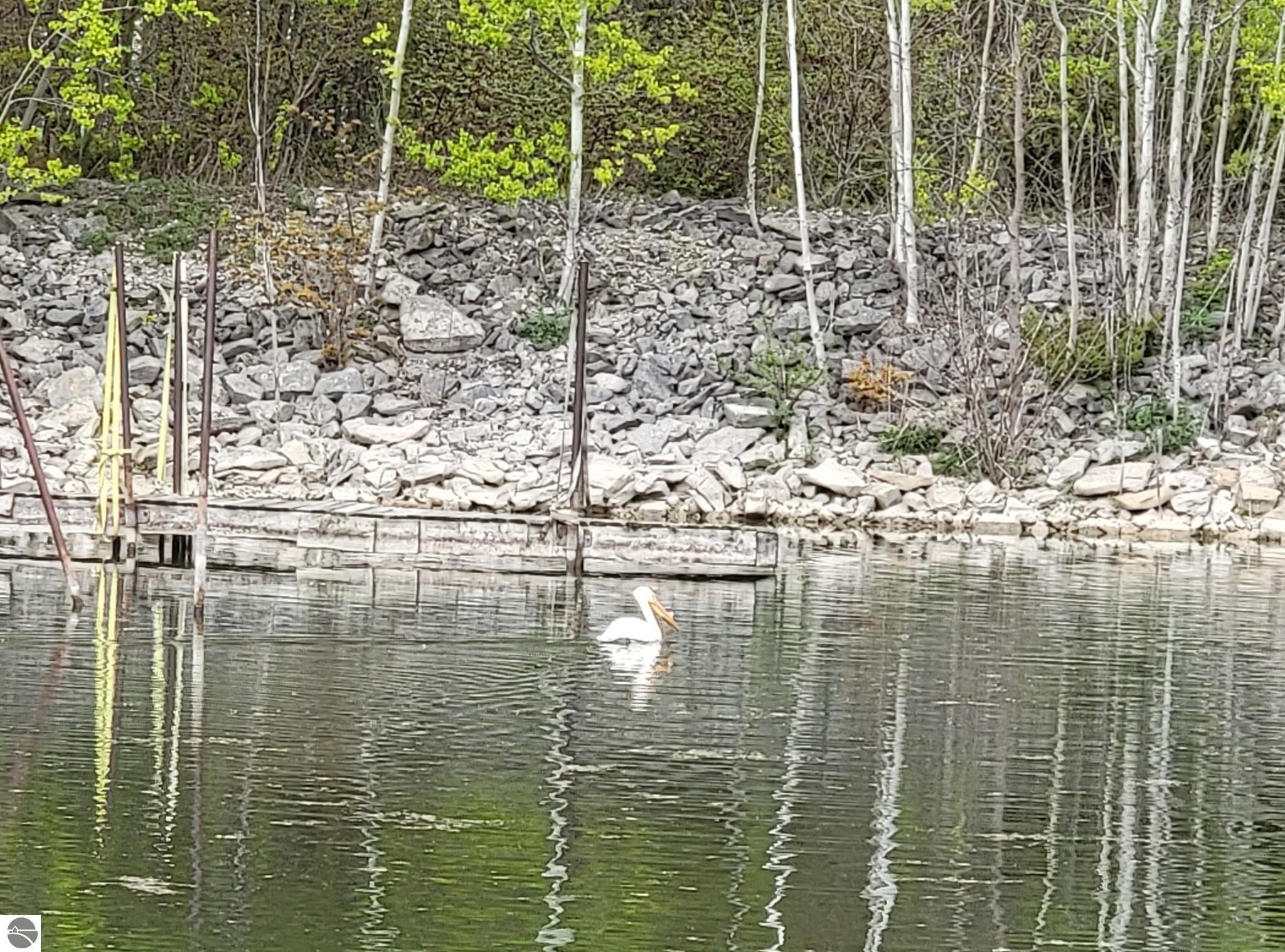 Lot 6 Charity Island, Au Gres, MI 48703 — Photo 15