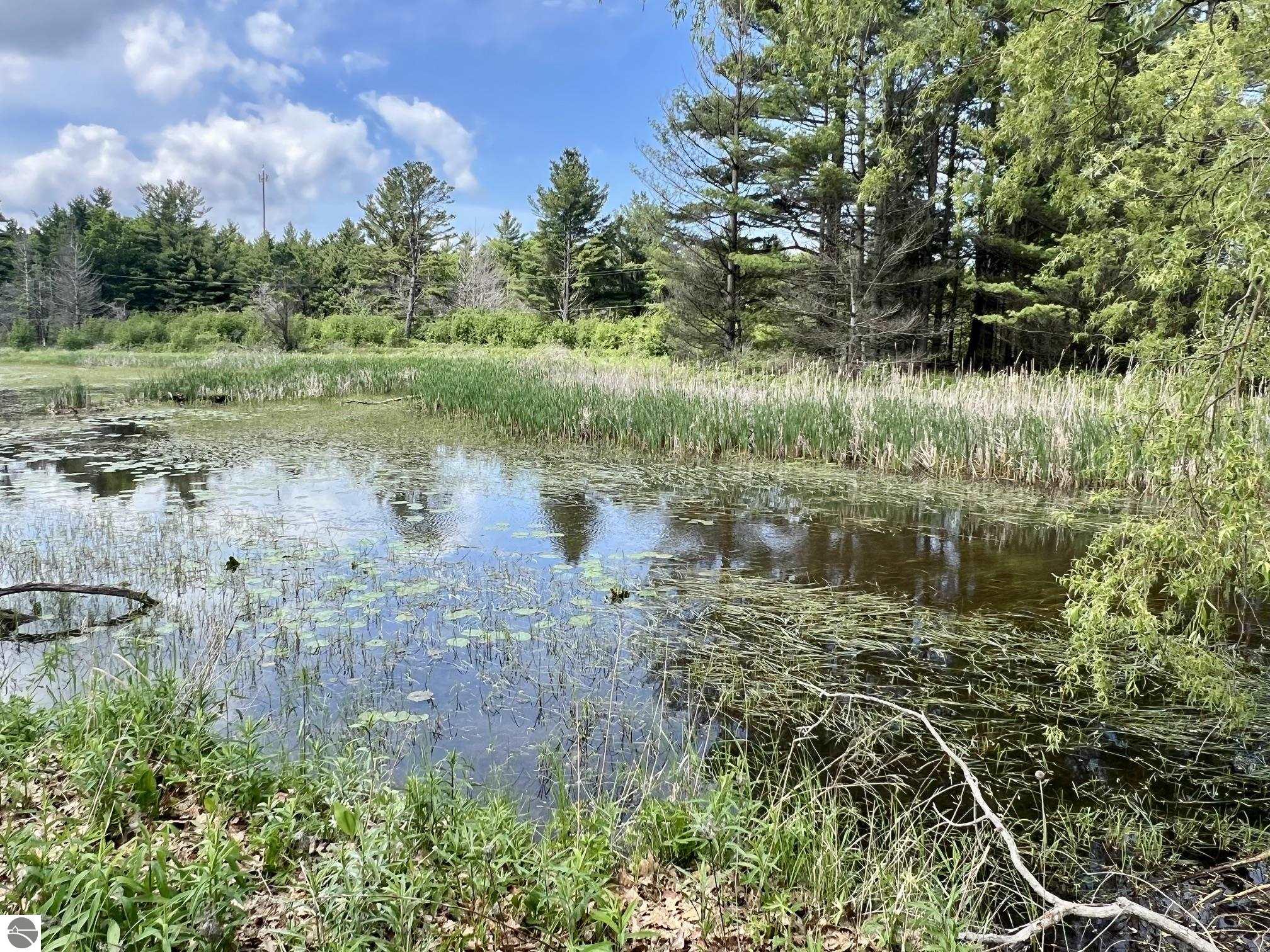 3325 N Us-23 N, Au Sable, MI 48750 — Photo 38